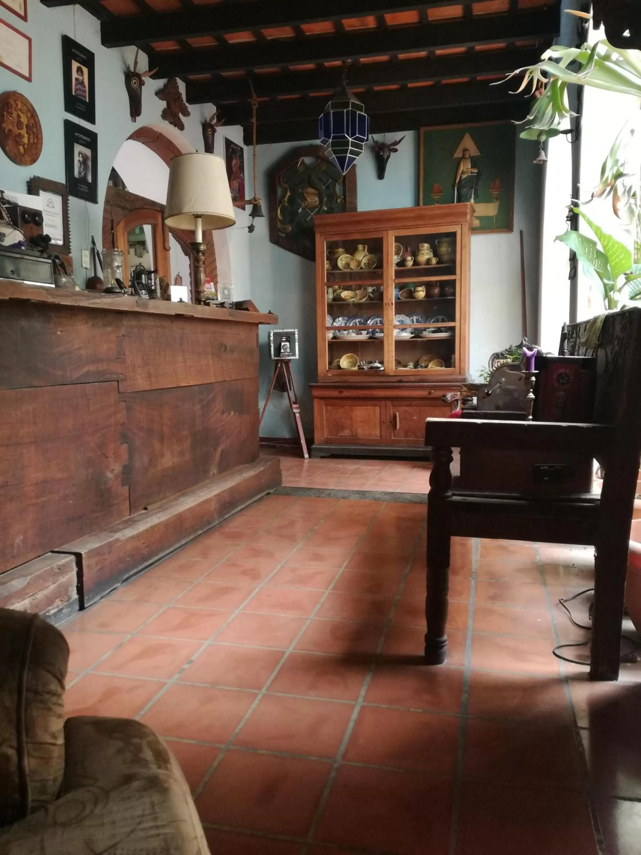 Lobby or reception, Lobby/Reception in Posada San Sebastian