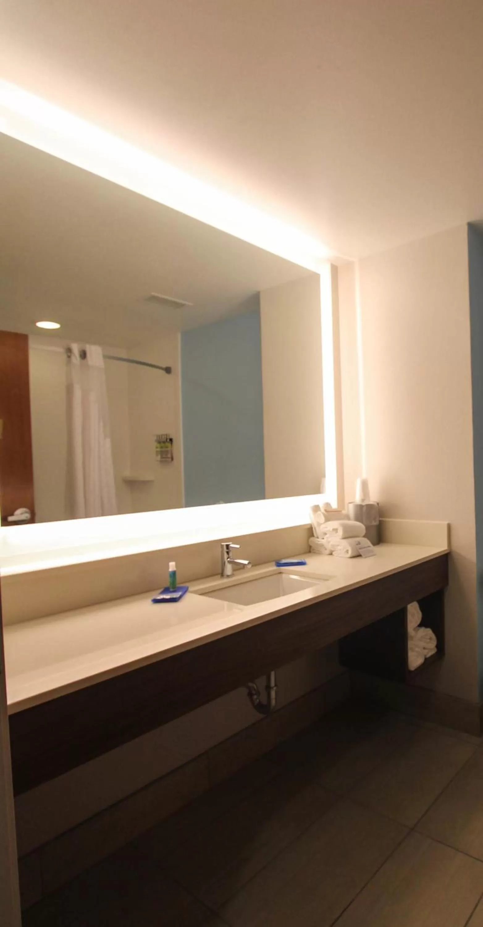 Bathroom in Holiday Inn Express Hotel & Suites Charleston - North by IHG