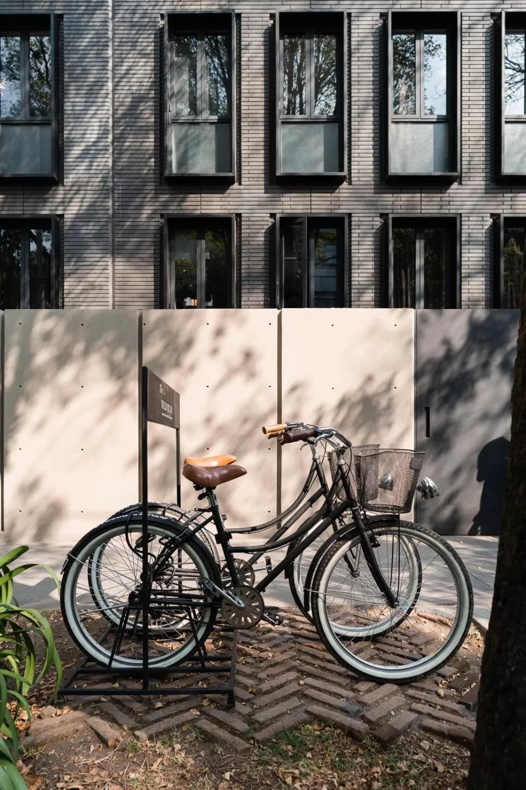 Activities in The Wild Oscar