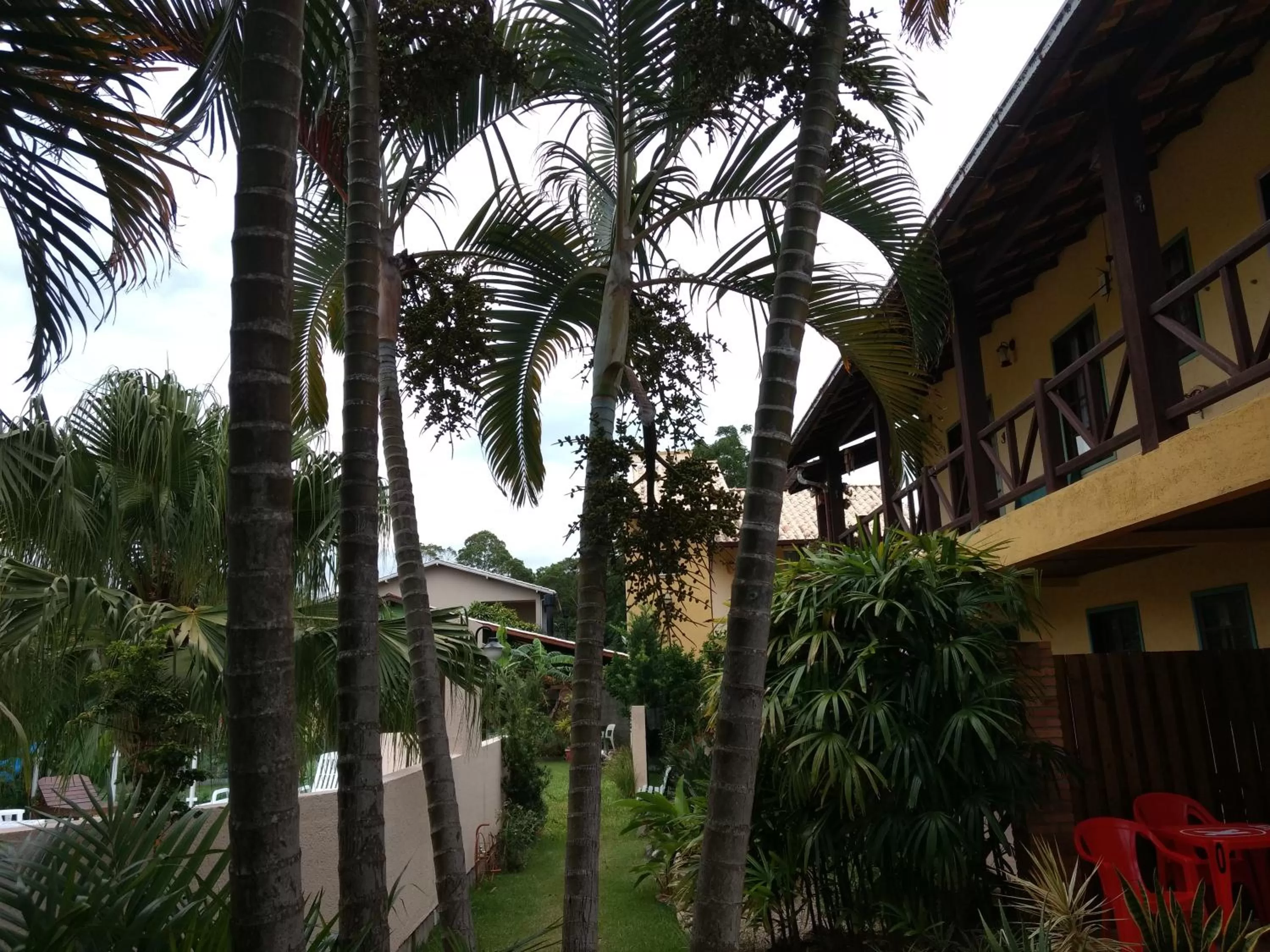 Garden view, Property Building in Pousada Santa Genoveva campeche