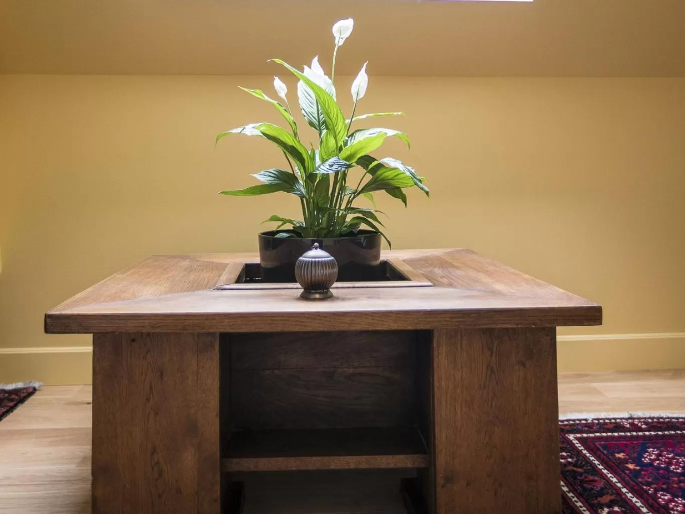 Maison de Kersalomon