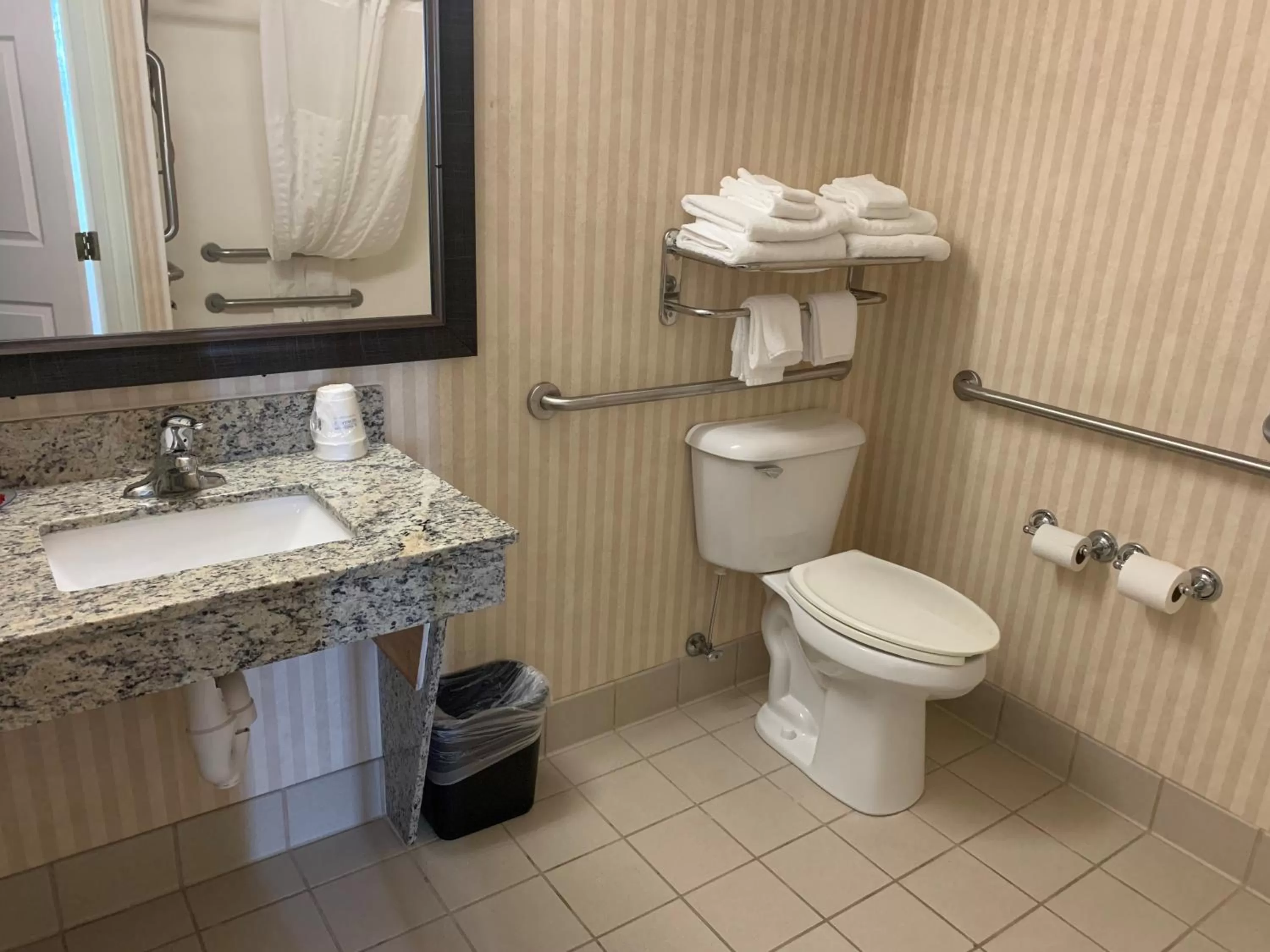 Bathroom in AmericInn by Wyndham Rochester