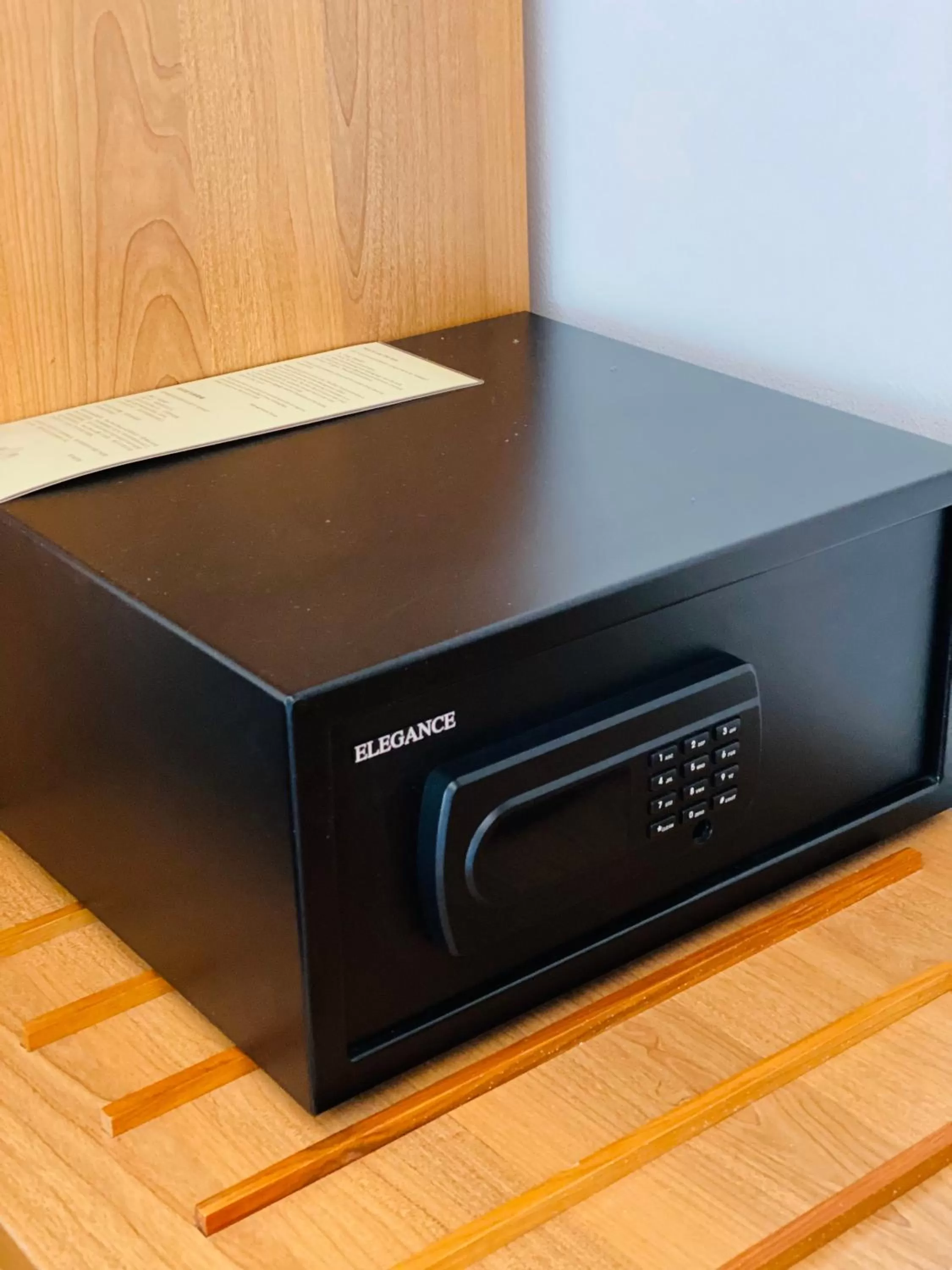 safe in Lanna Deer Resort Chiang Mai