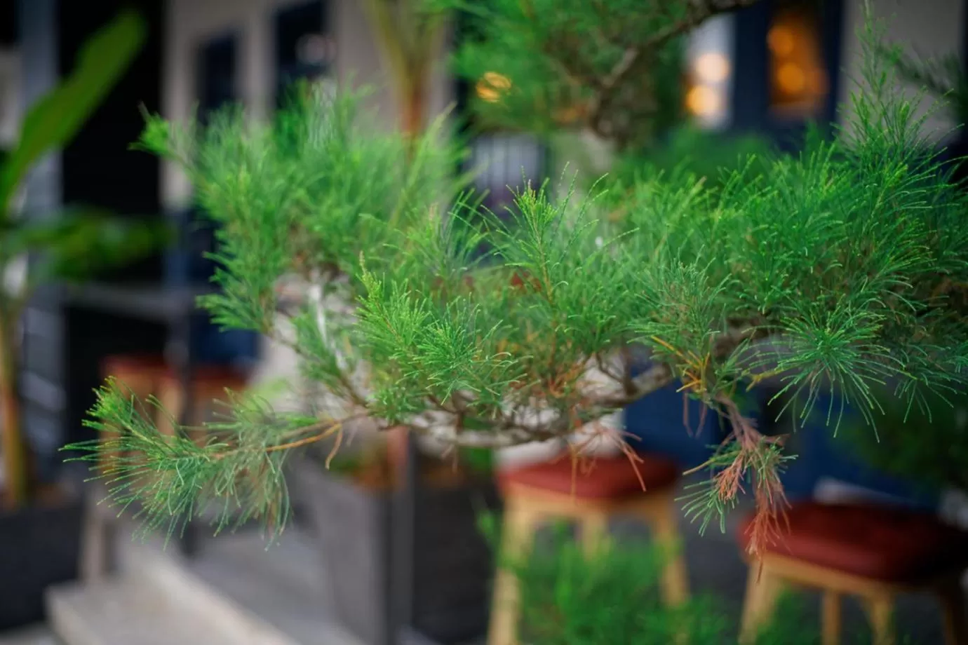 Facade/entrance in Hotel Soloha at Chinatown