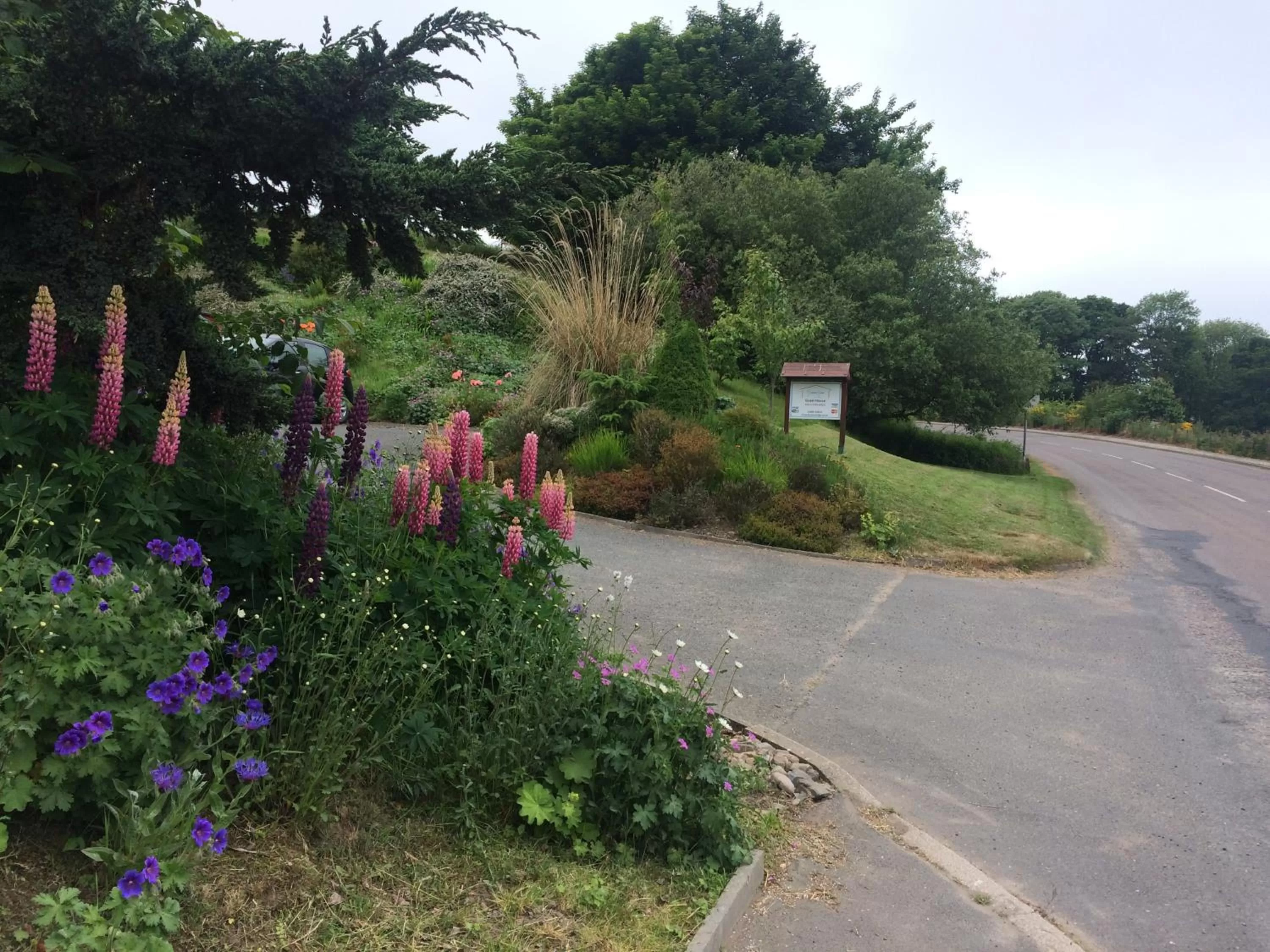 Garden in Deveron Lodge Guest House