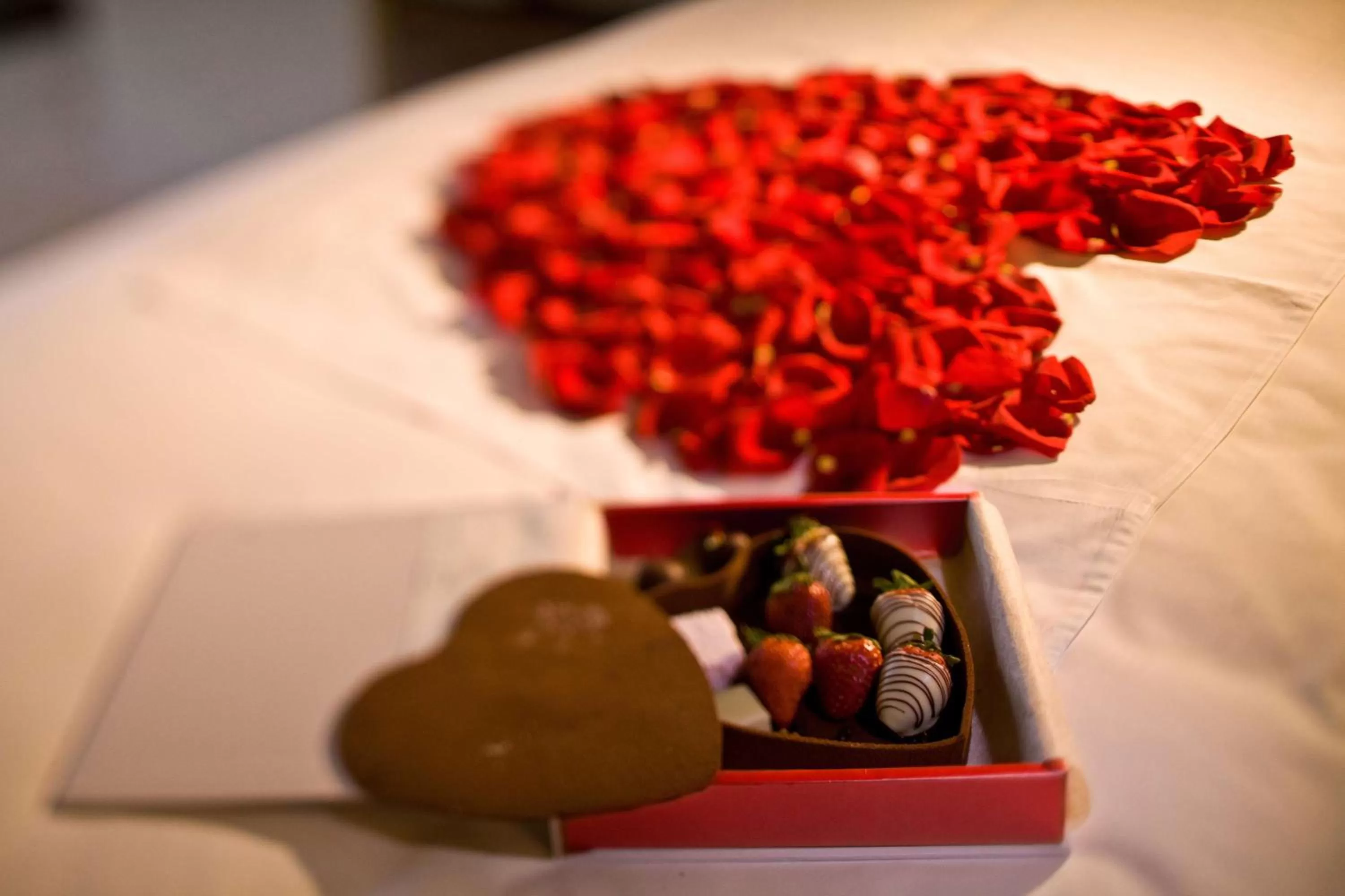 Photo of the whole room in Grand Hyatt Guangzhou