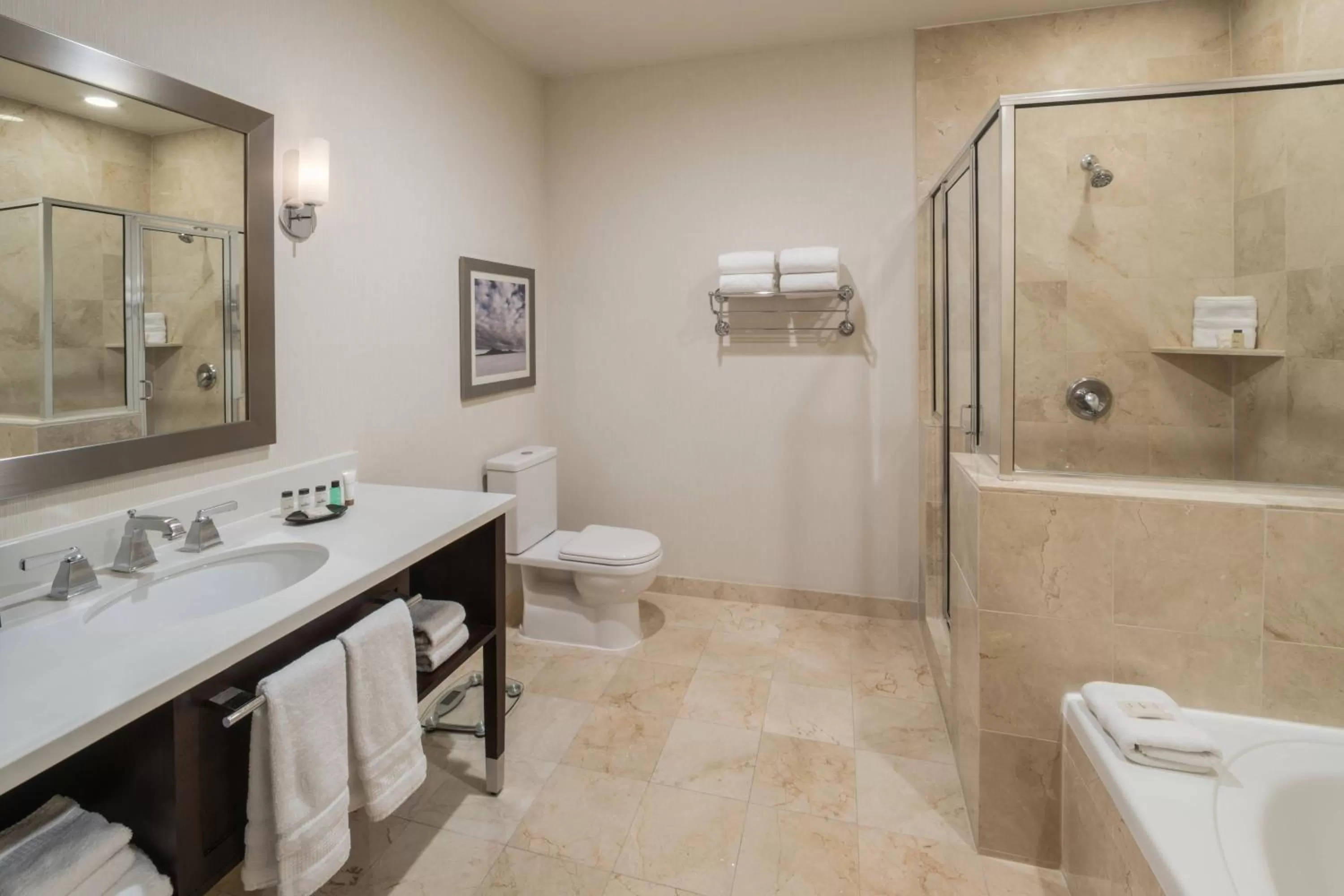 Bathroom in Sheraton Salt Lake City