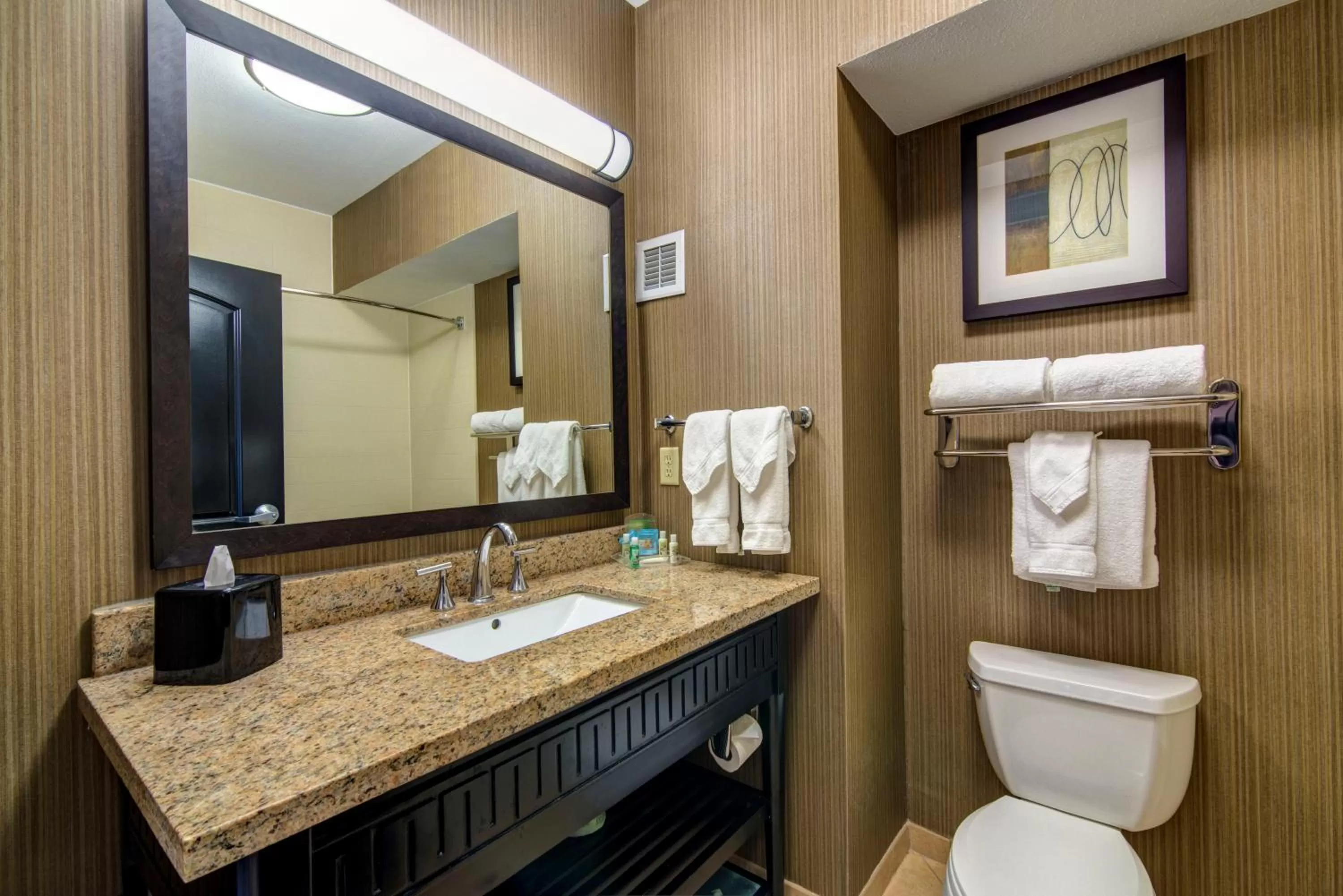 Bathroom in Holiday Inn Arlington Northeast by IHG