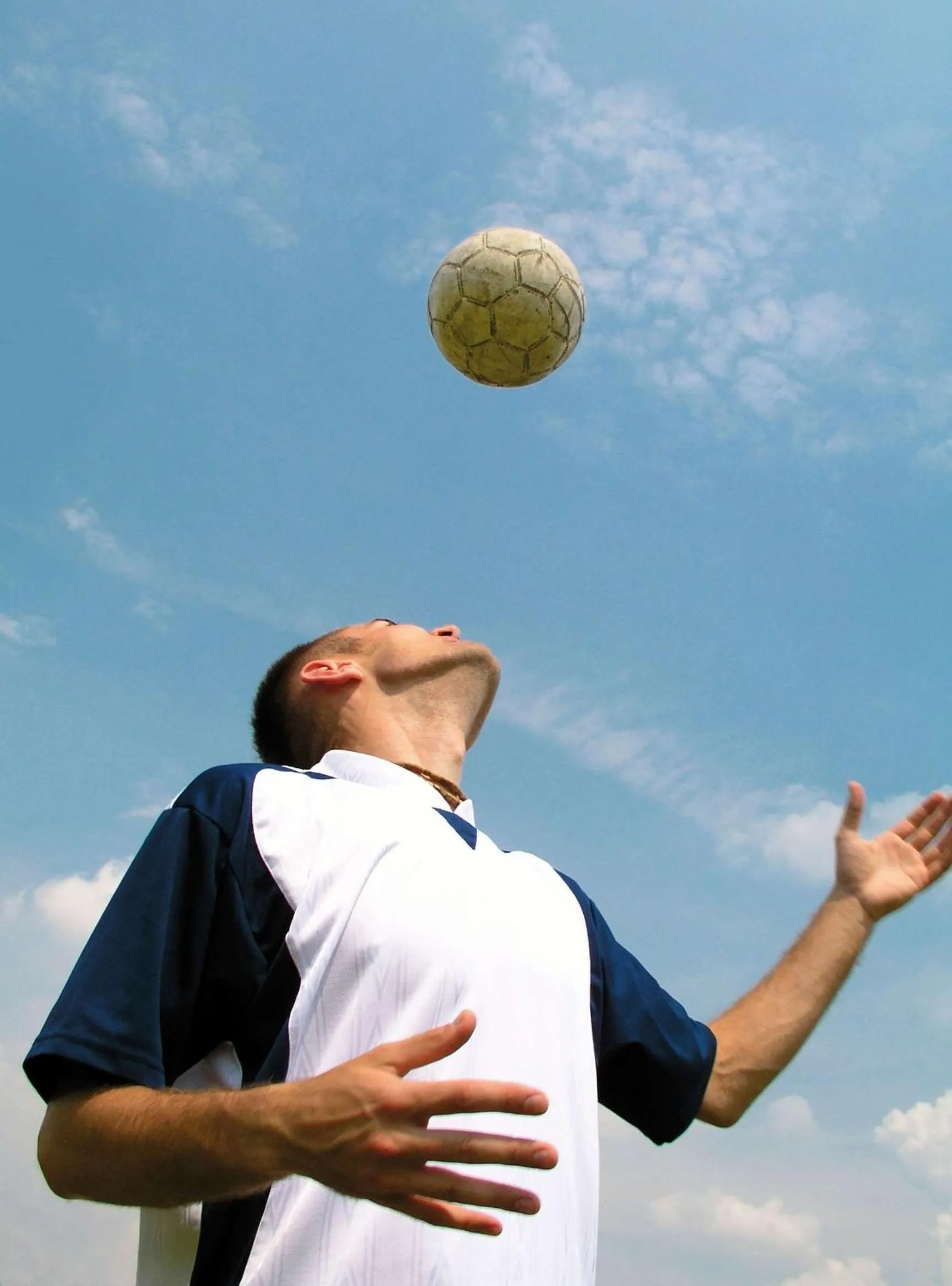 Sports in Park Plaza Belvedere Medulin