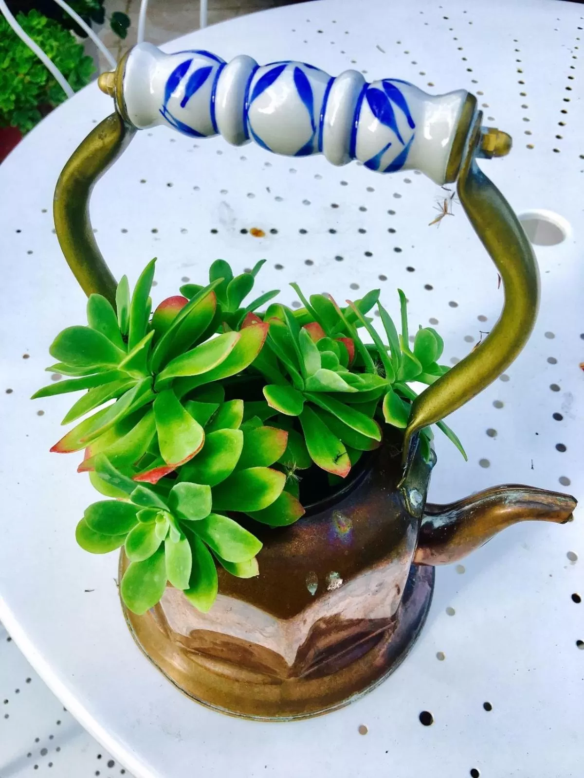 Garden in La Romance et la Romanesque