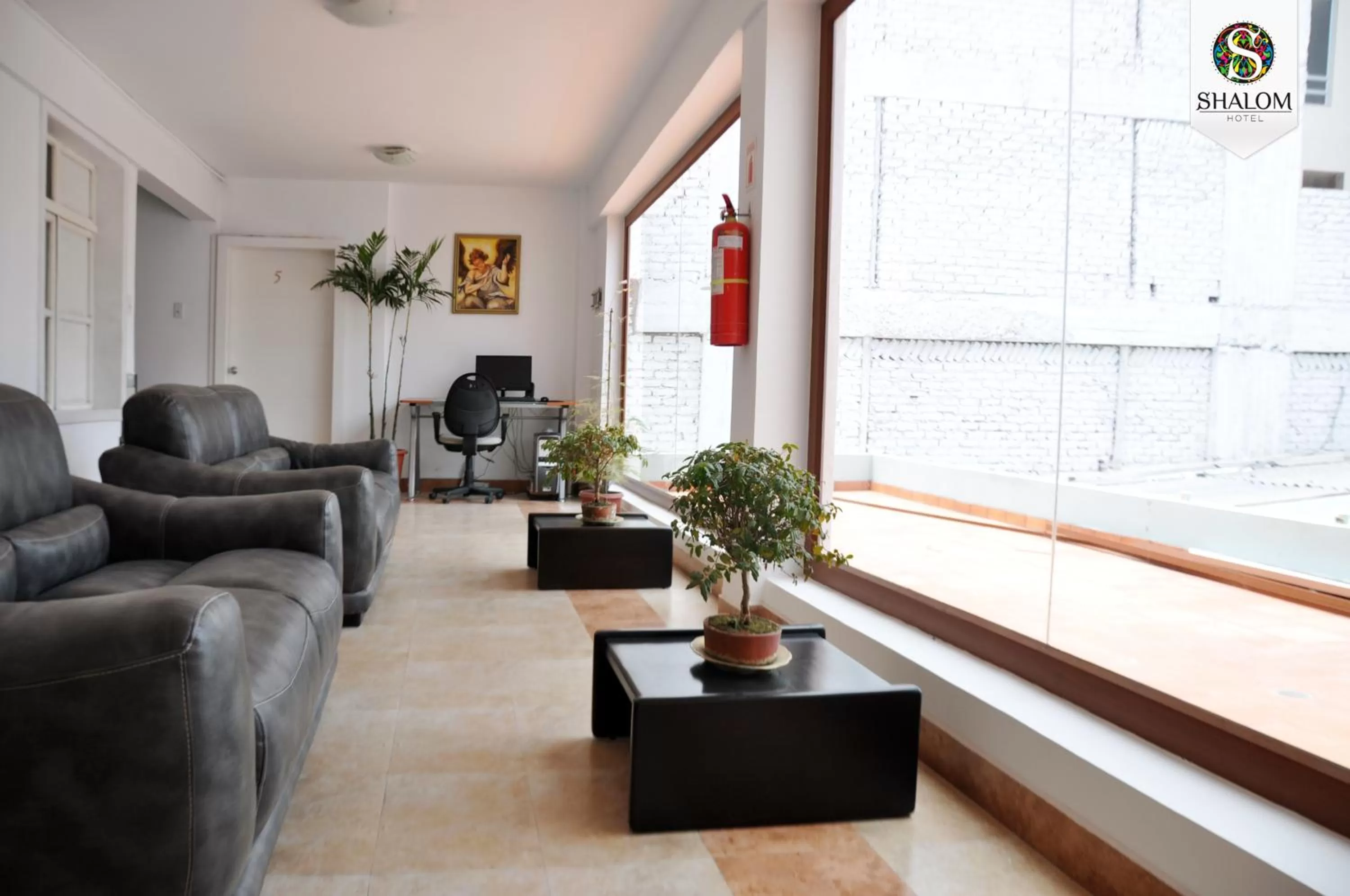 Communal lounge/ TV room, Seating Area in Hotel Shalom