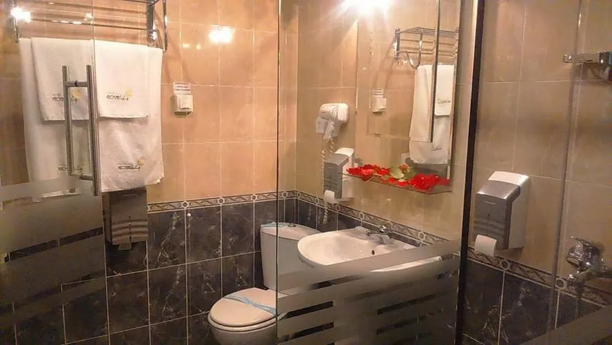 Photo of the whole room in Vitoshko Lale Hotel