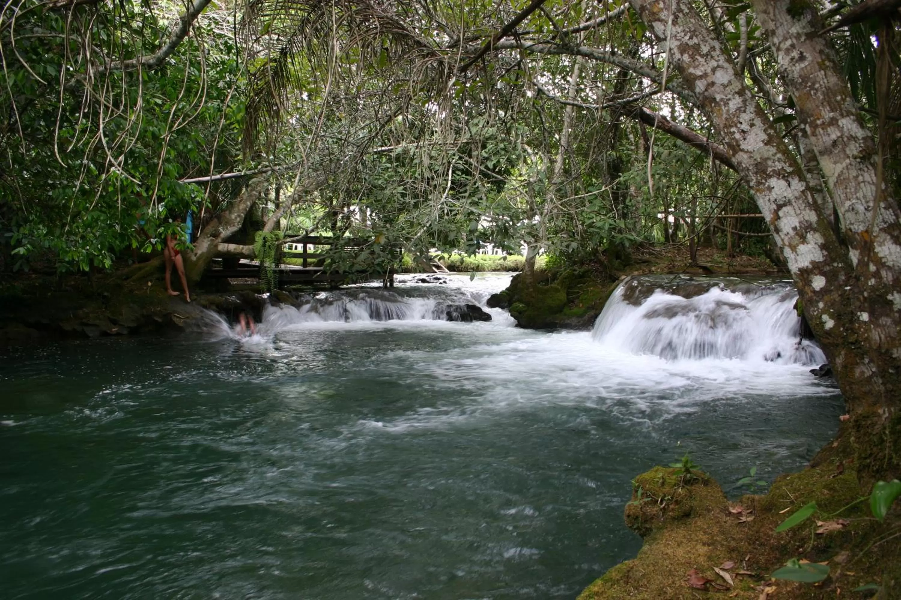 Natural landscape in Hotel Santa Esmeralda