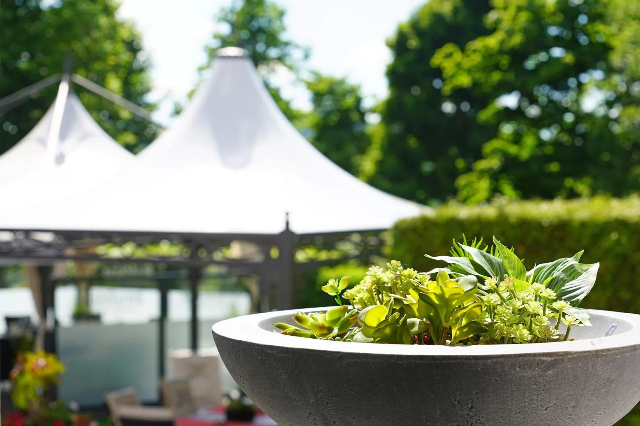 Restaurant/places to eat in Hotel und Restaurant Bühlhaus