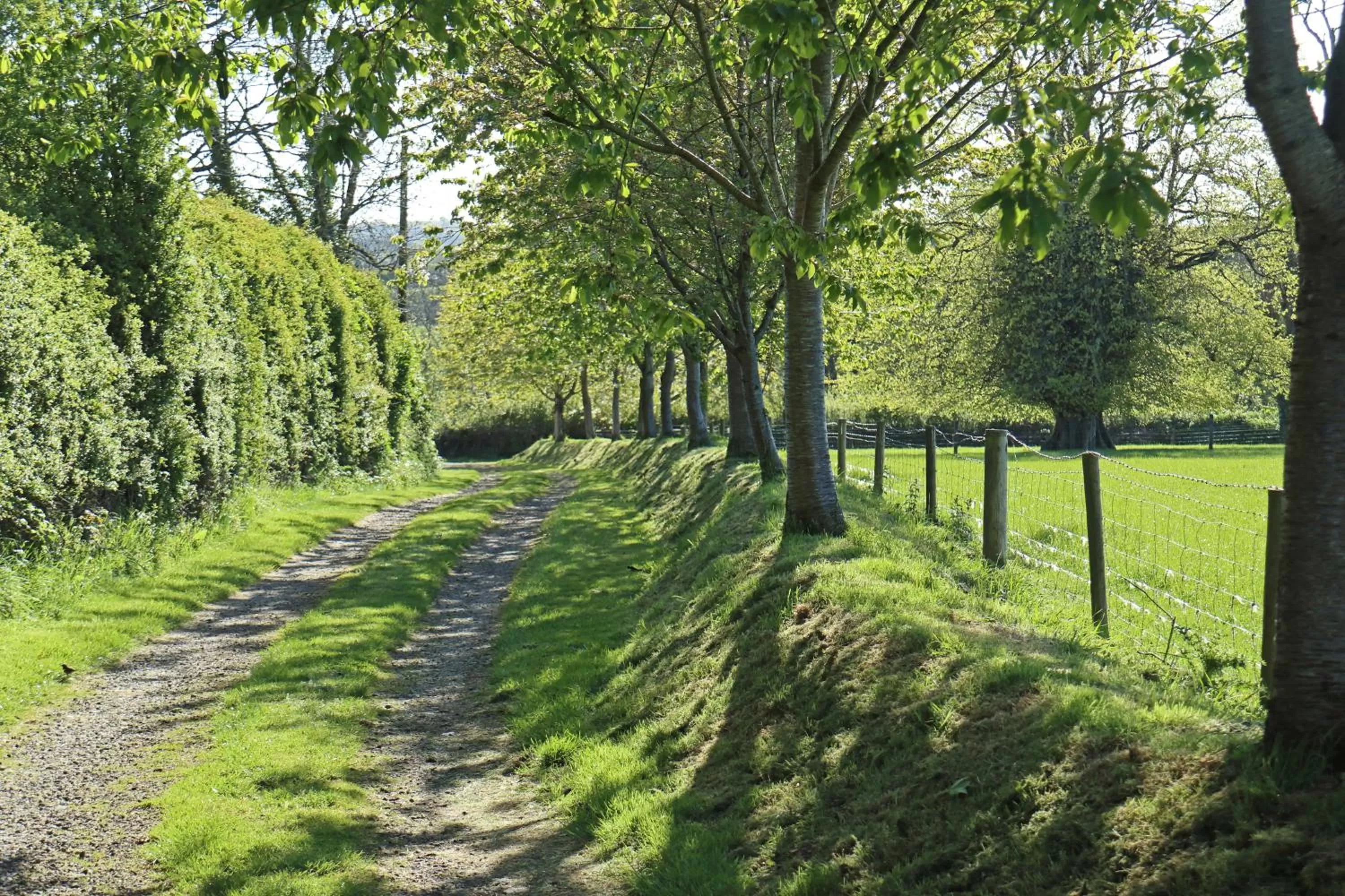 Facade/entrance in Lovaton Farmhouse