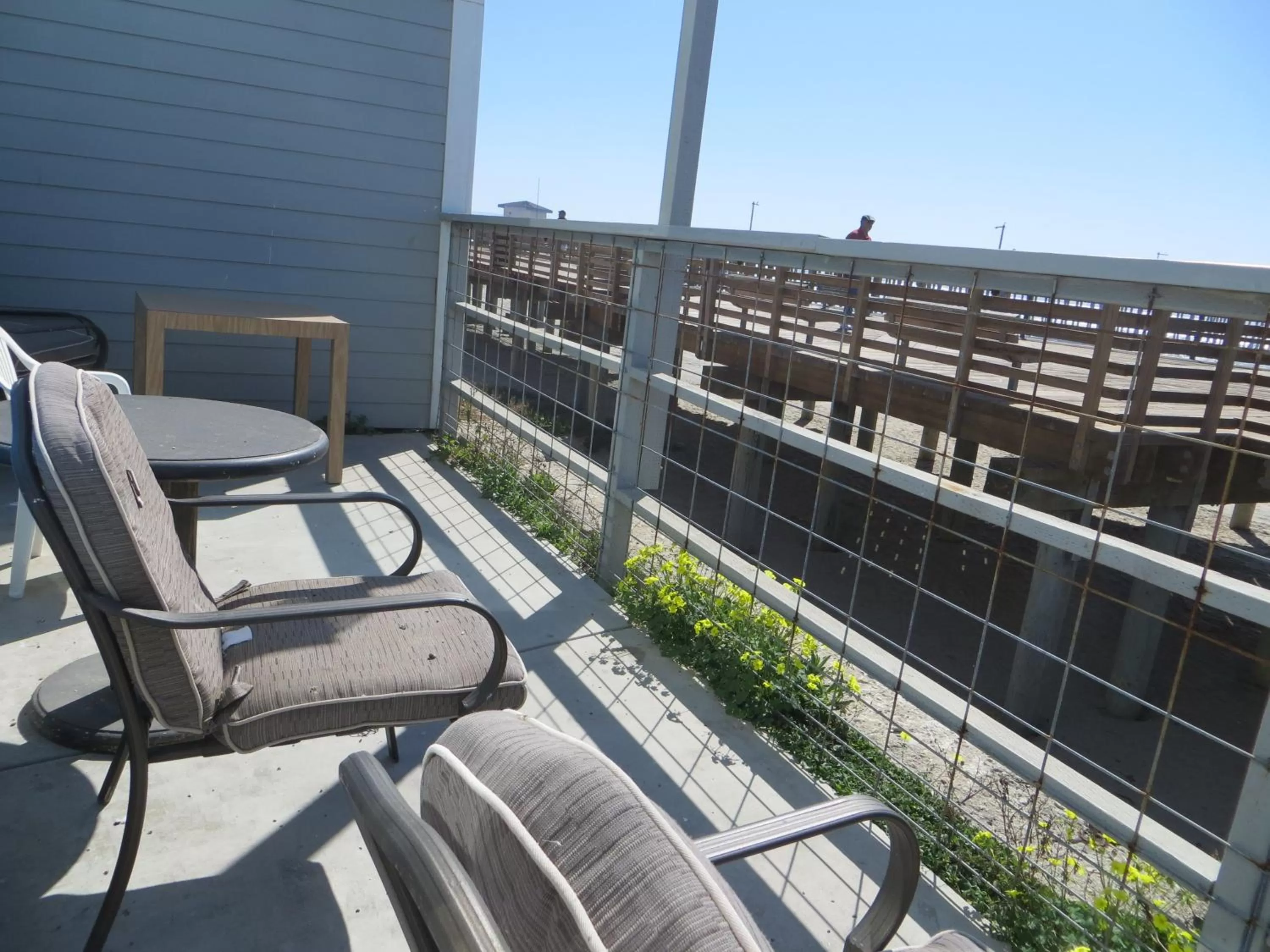 Day in Dolphin Cove Motel