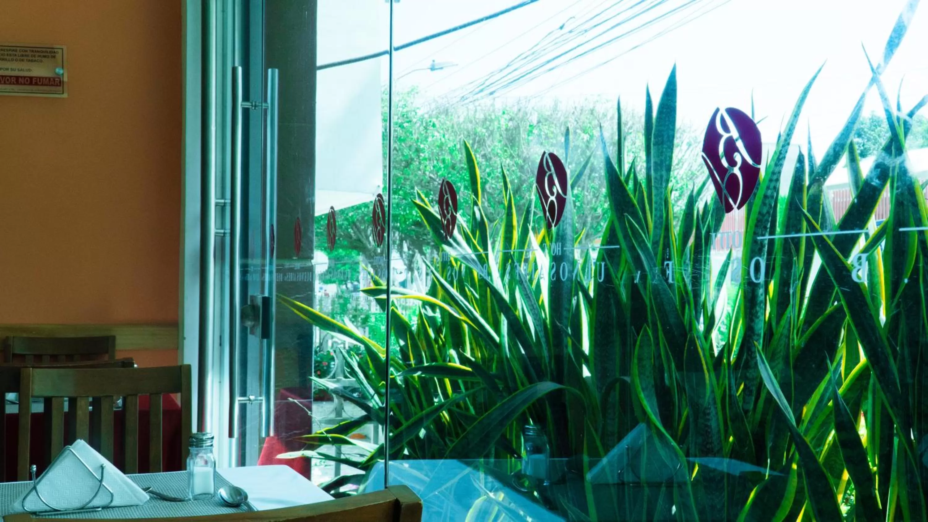 Restaurant/places to eat in Hotel Buenos Aires