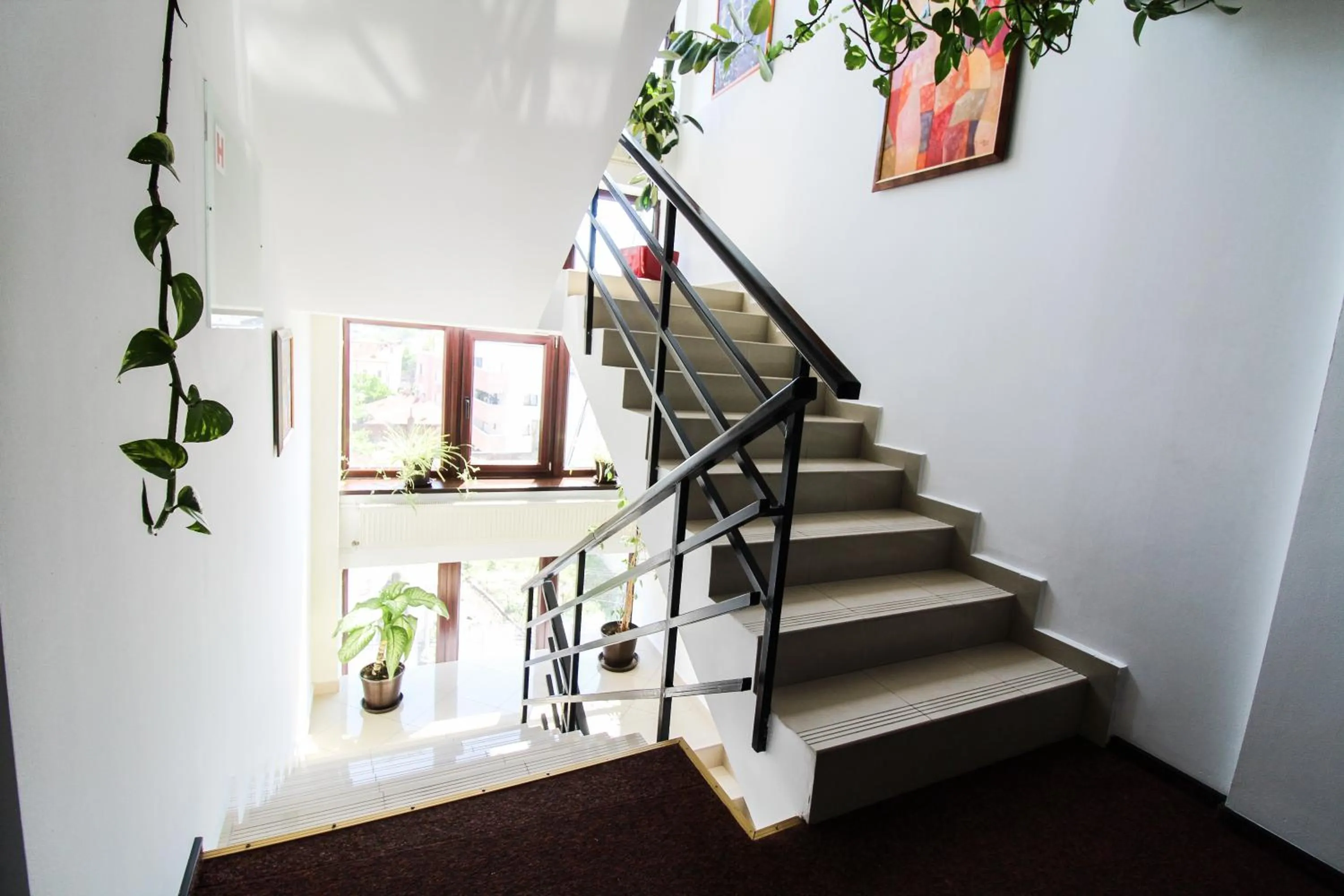 Lobby or reception in Hotel Razvan