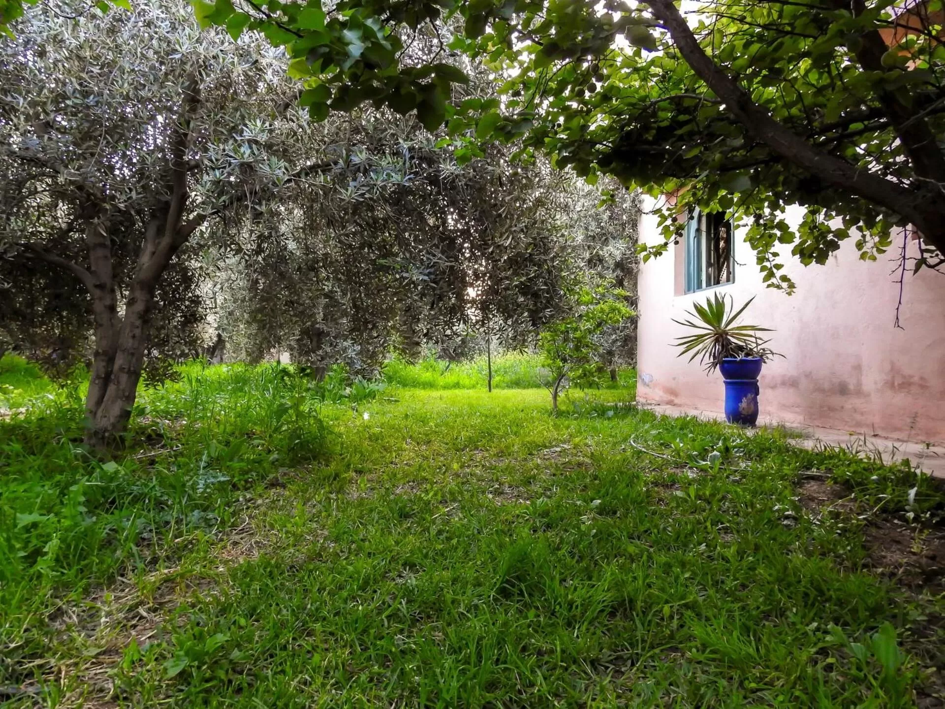 Living room in Le Bleu House