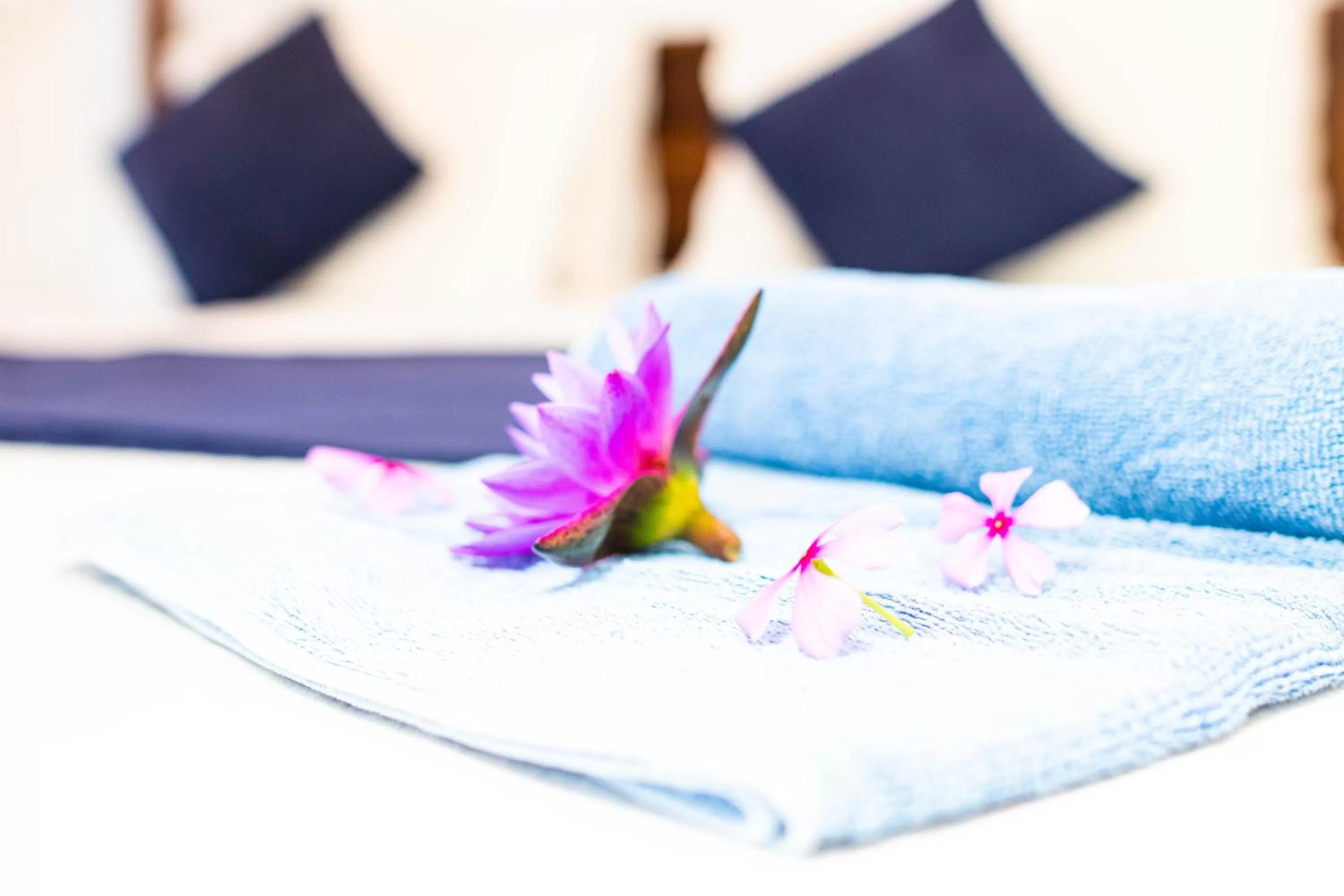 Bed in Shan Star Weligama