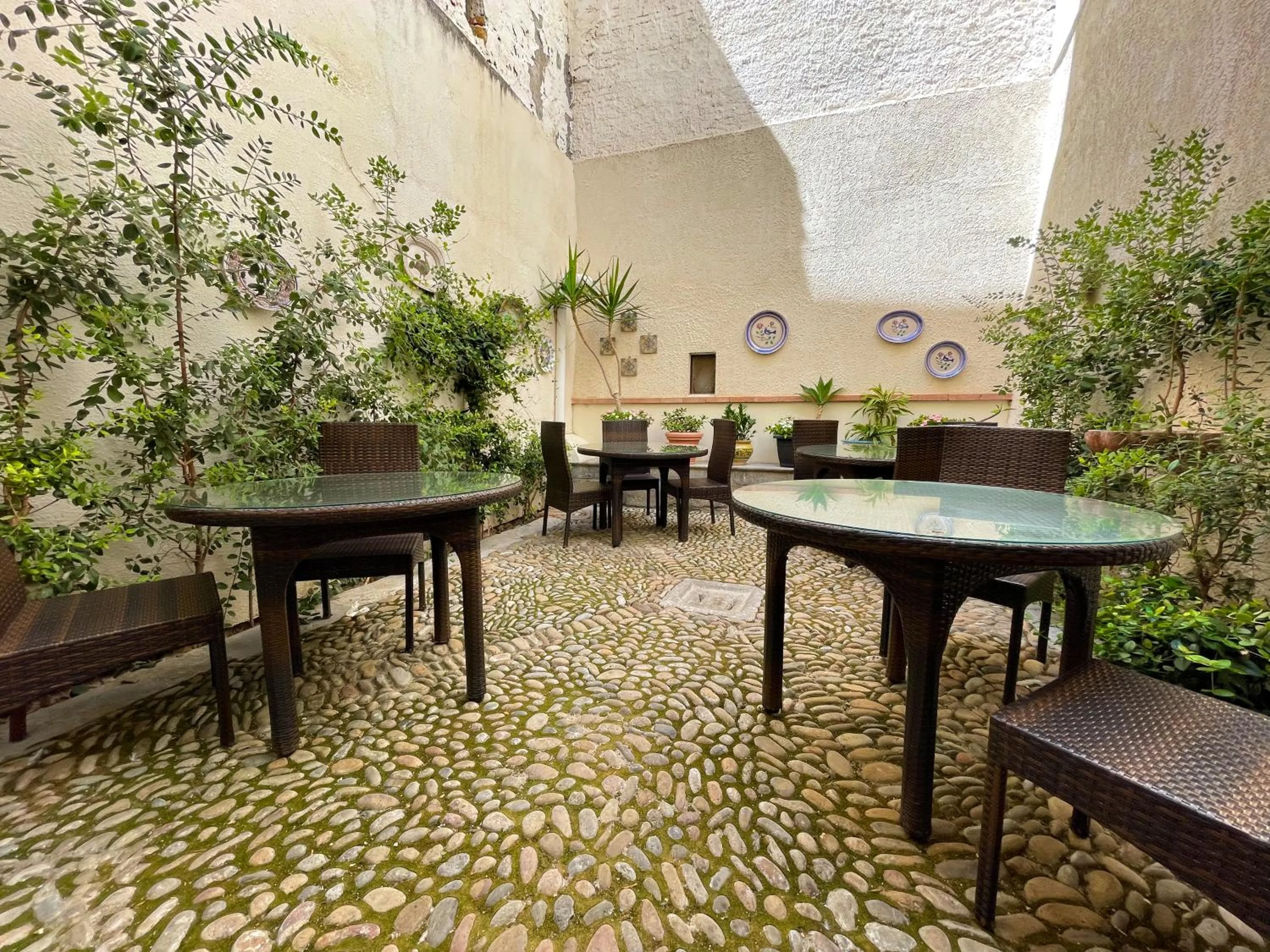 Restaurant/places to eat in Hotel La Plumeria