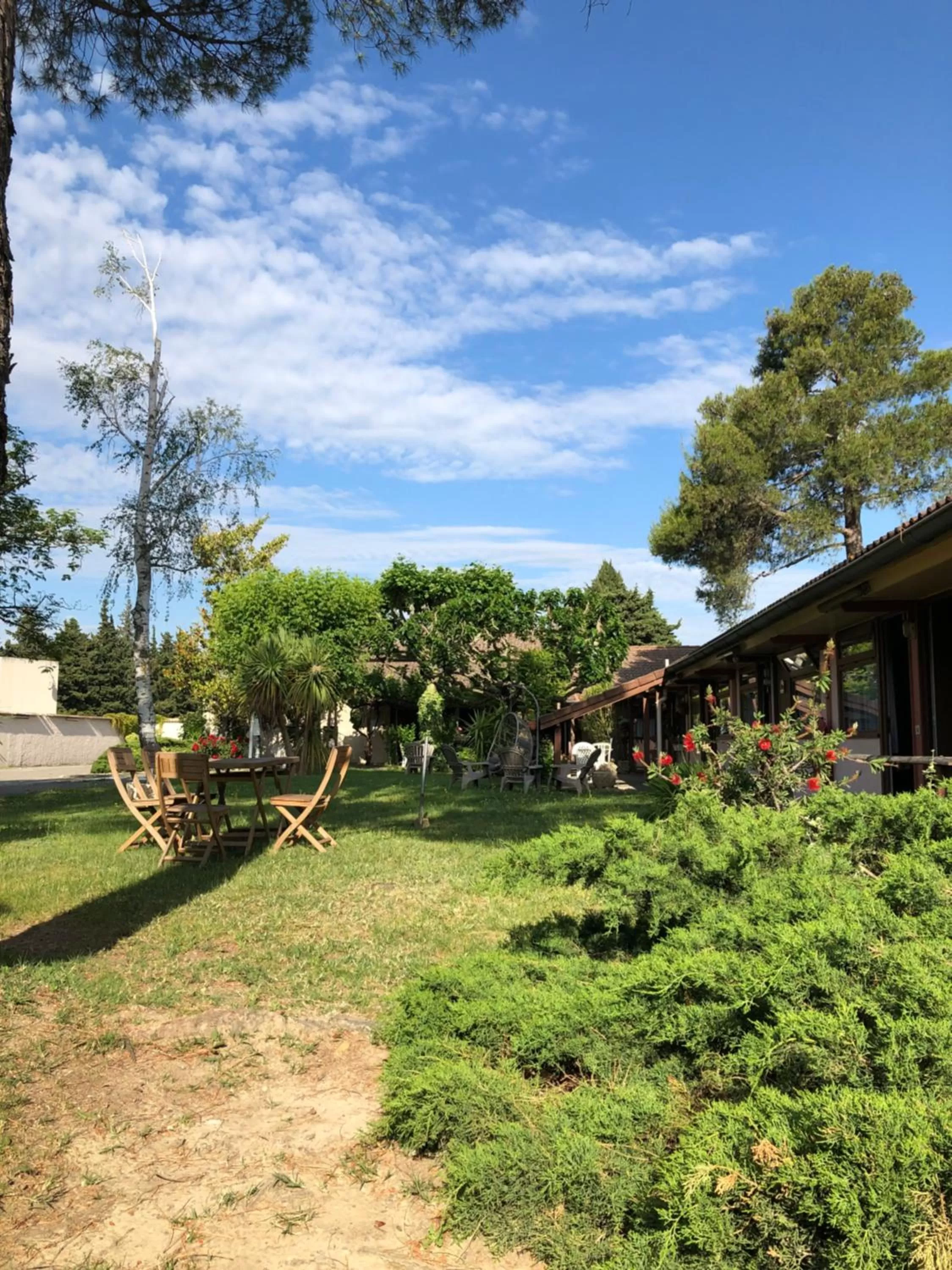 Garden in Hotel Cristol