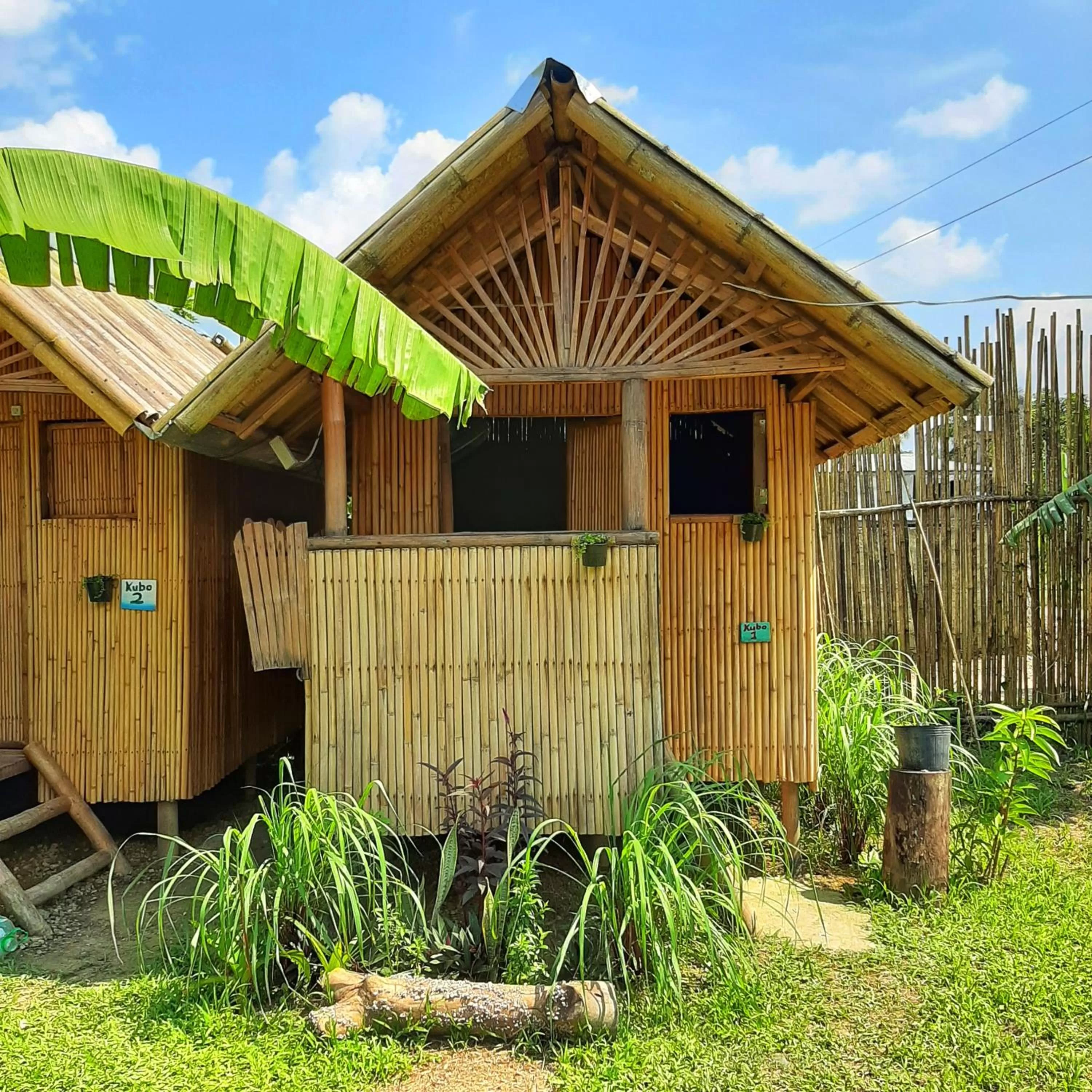 Property building in Banana Grove El Nido