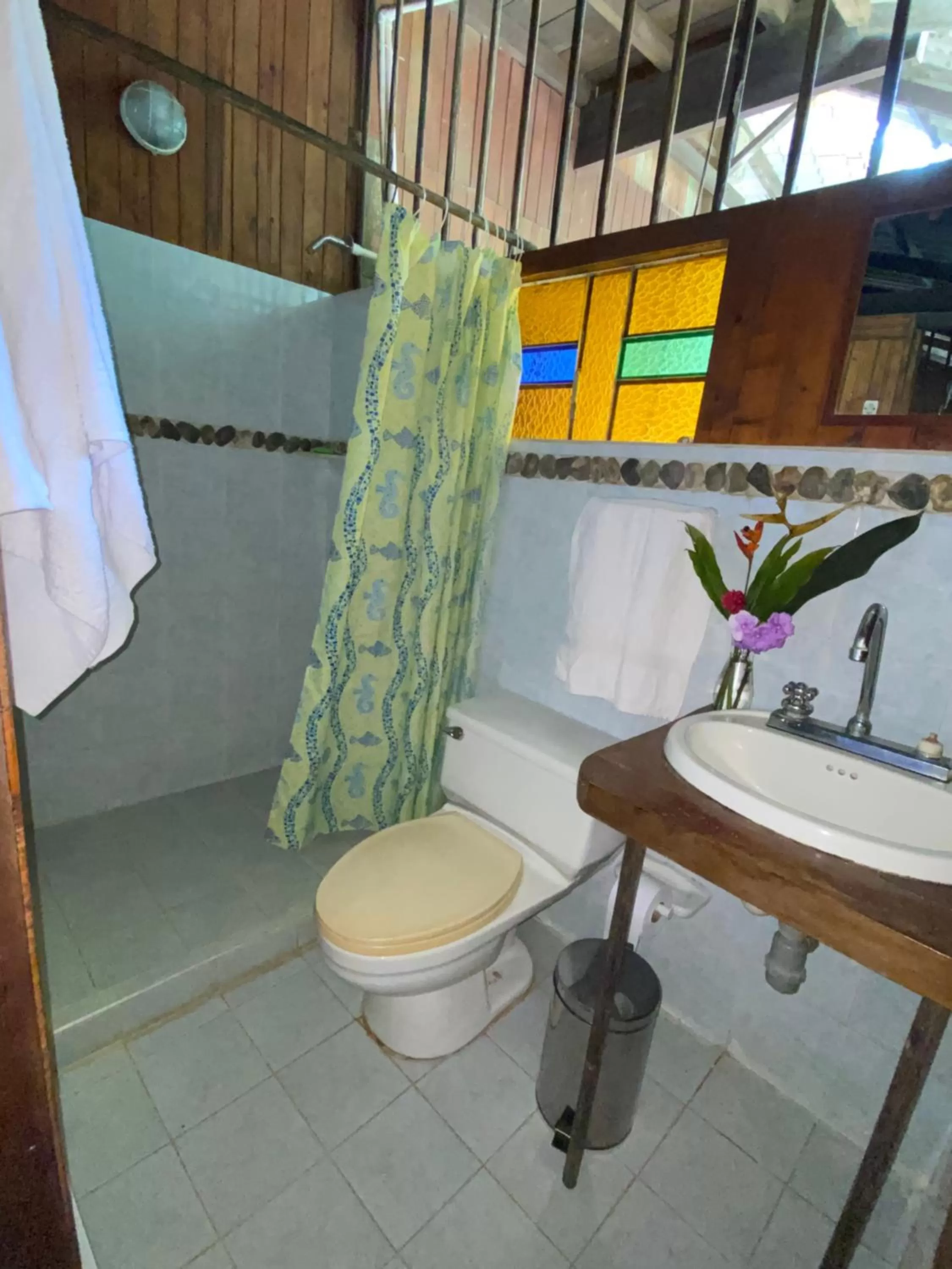 Toilet, Bathroom in Posada Turística Rocas De Cabo Marzo