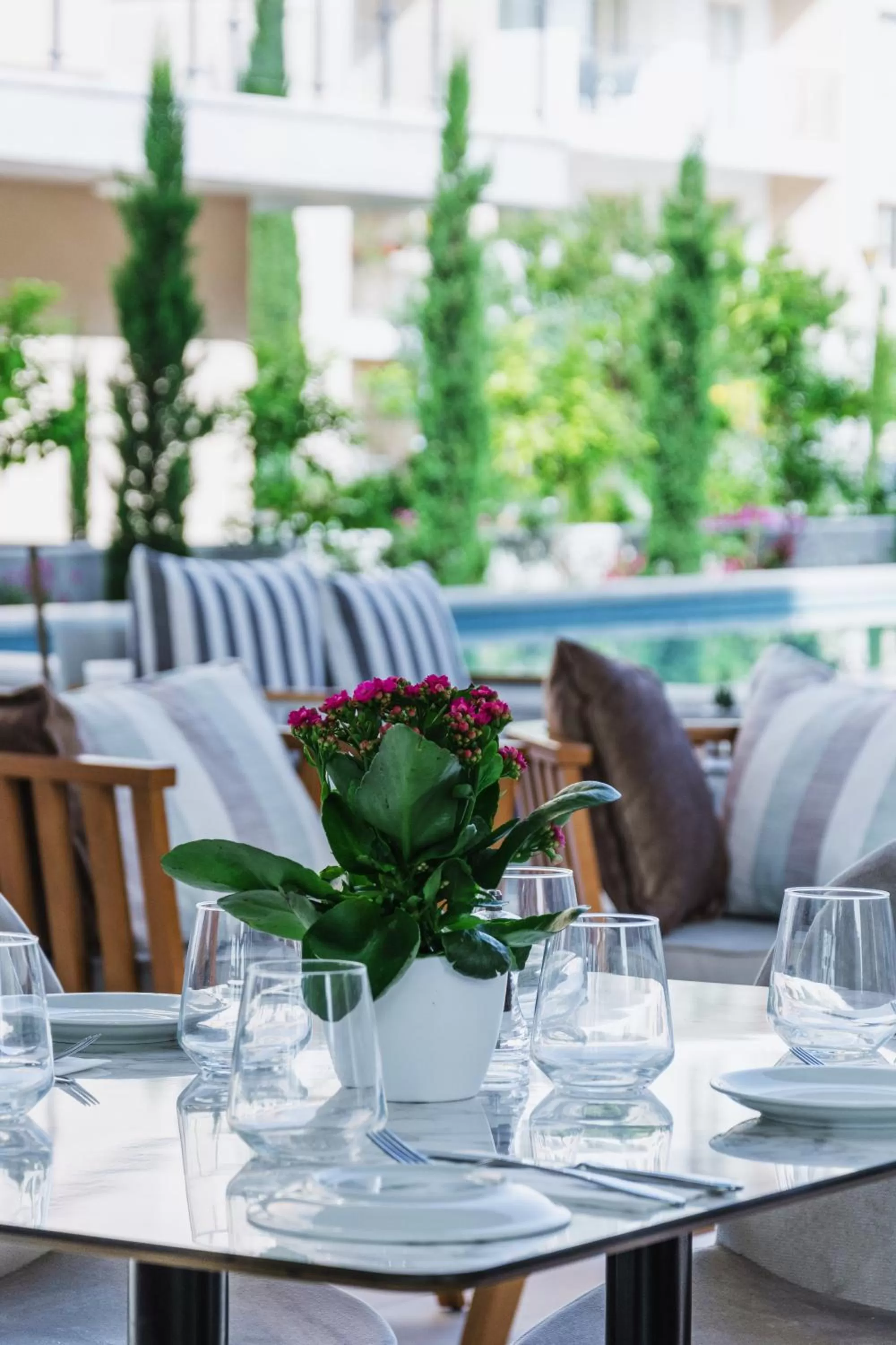 Restaurant/places to eat in Elysia Park