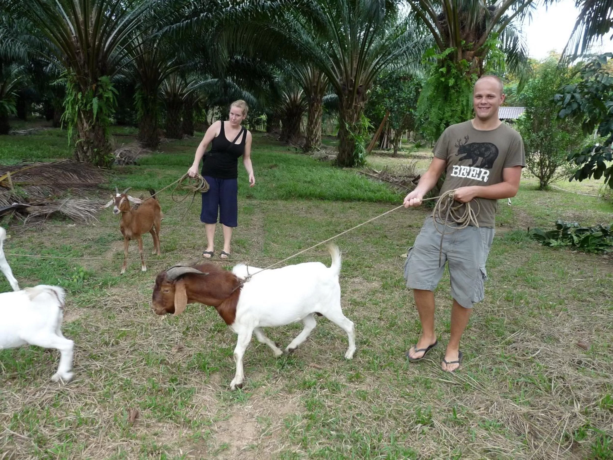 Animals in Khao Sok Palmview Resort