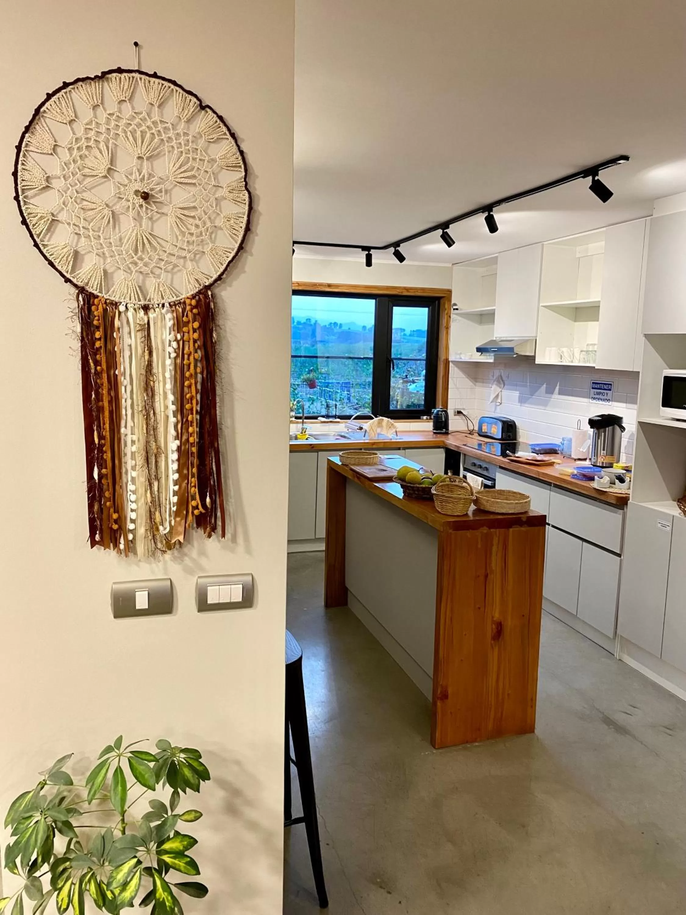 Communal kitchen, Kitchen/Kitchenette in Albergo B&B