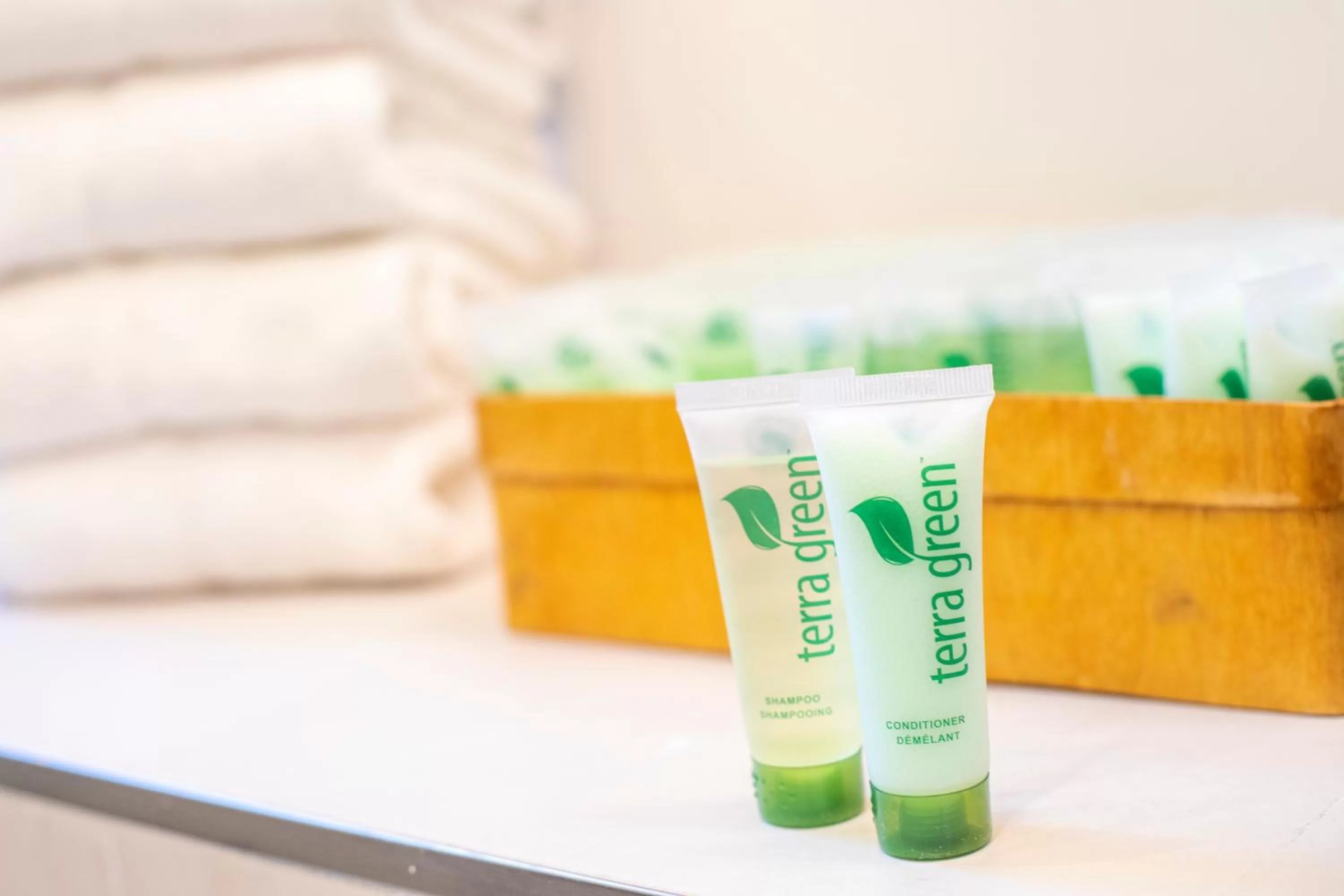 Bathroom in 1906 Mission