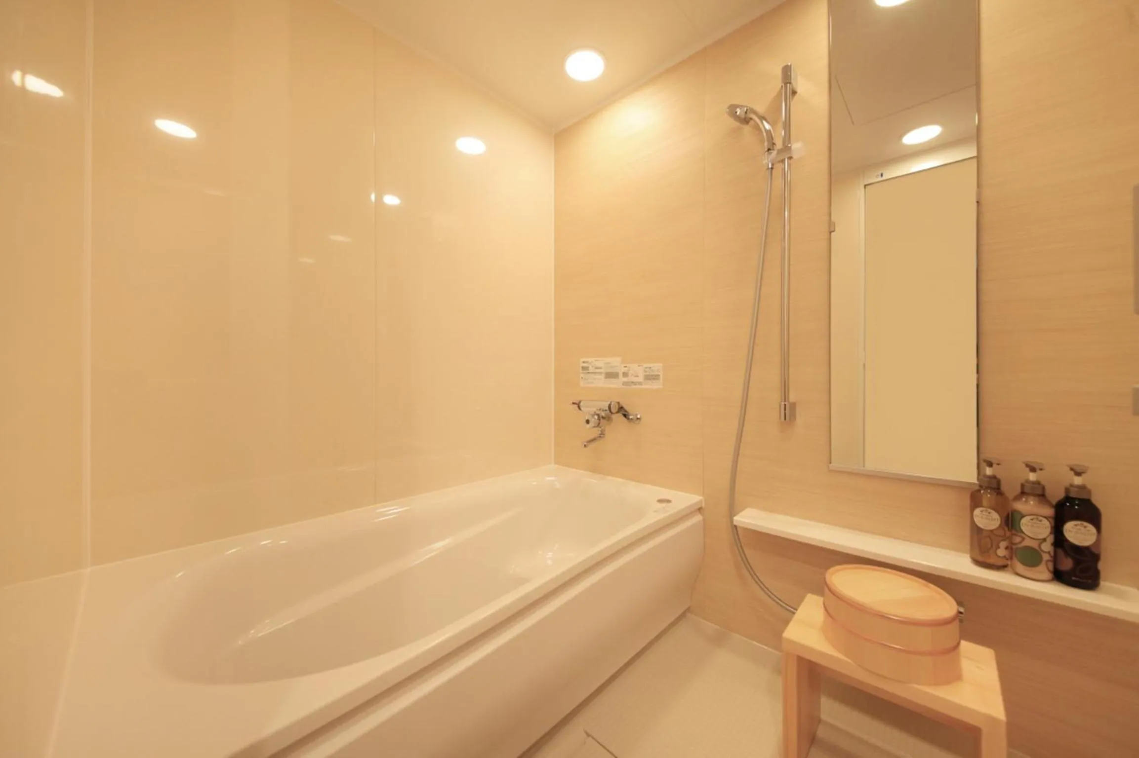 Bathroom in Richmond Hotel Kagoshima Kinseicho