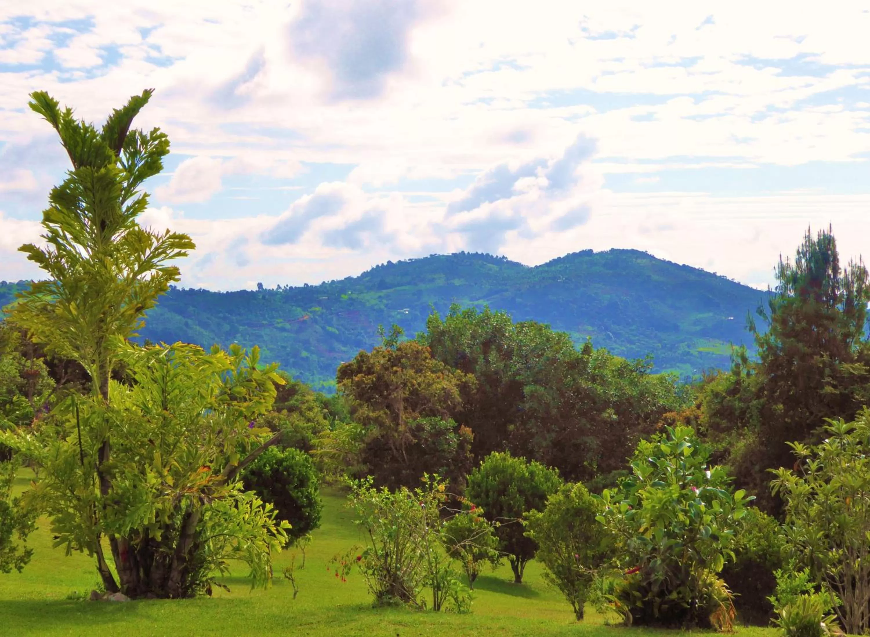 View (from property/room), Mountain View in Finca El Cielo