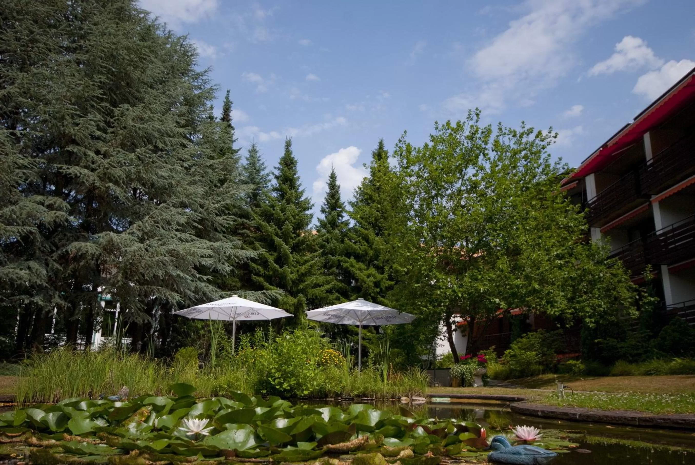 Garden in VitalHotel Ascona