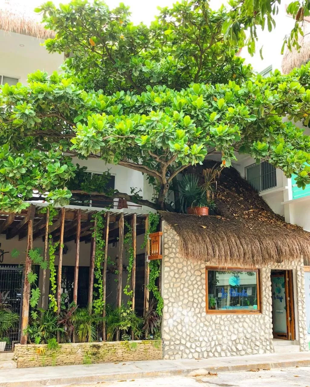 Facade/entrance, Property Building in La Palmita Budget Boutique Hotel