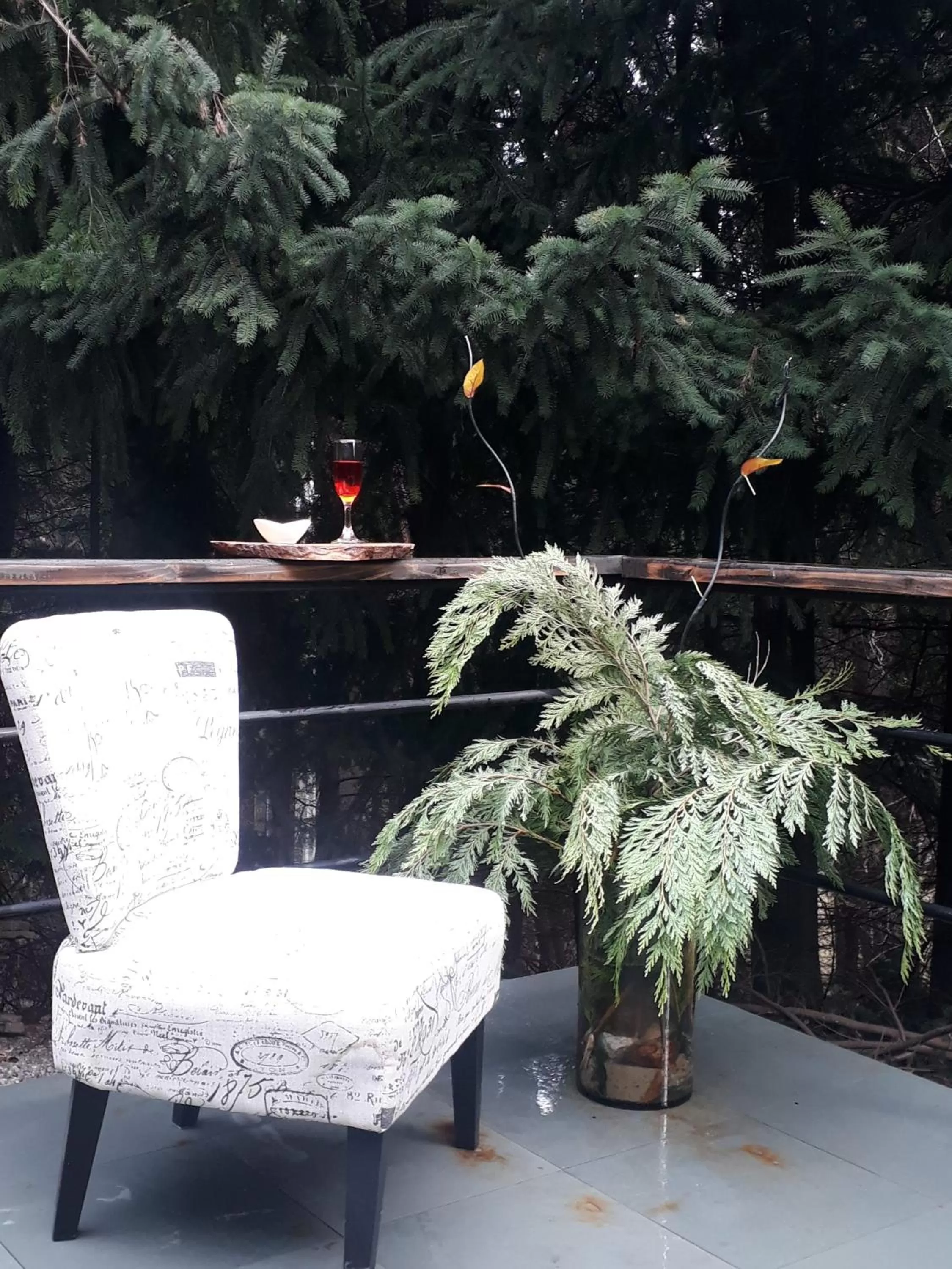 Day in The Patagonian Lodge