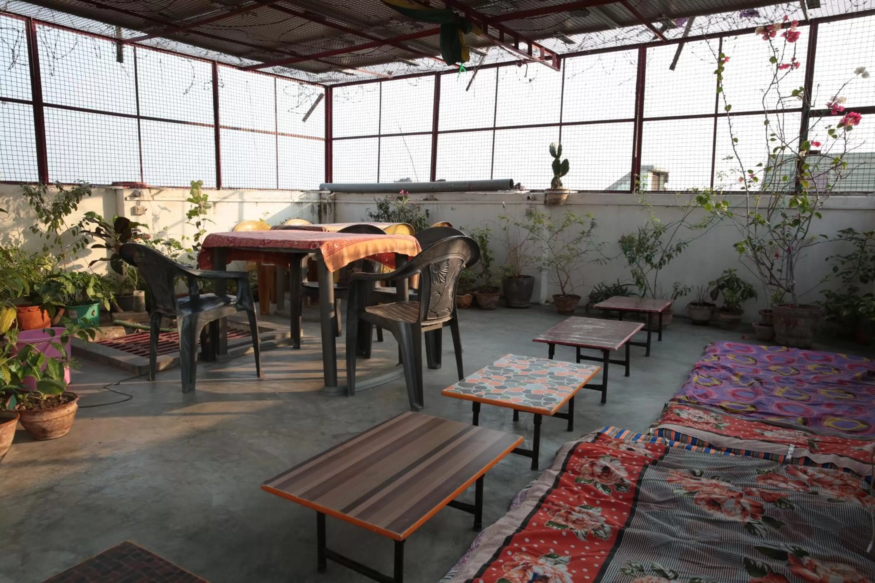 Restaurant/places to eat in Somit Paying Guest House