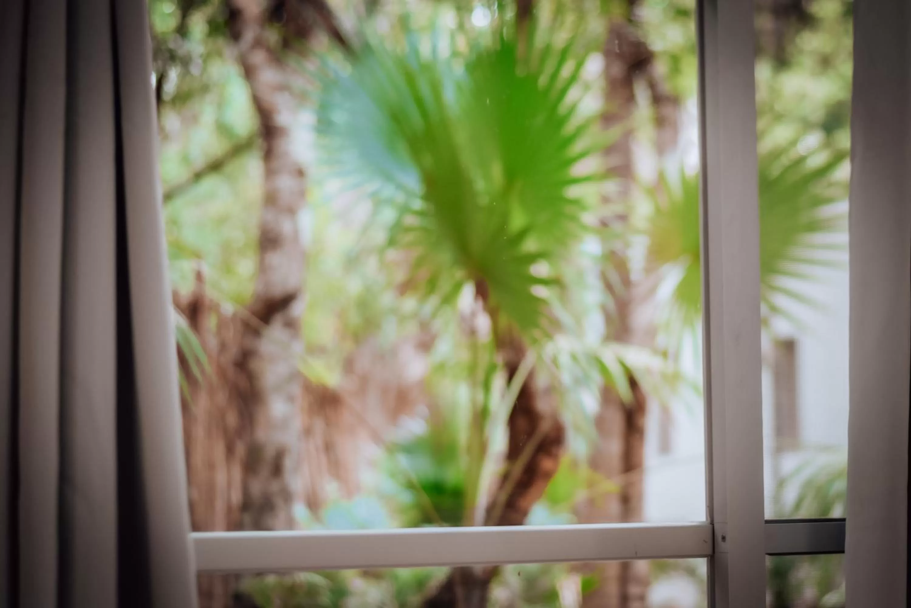 View (from property/room), View in Lunita Jungle Experience