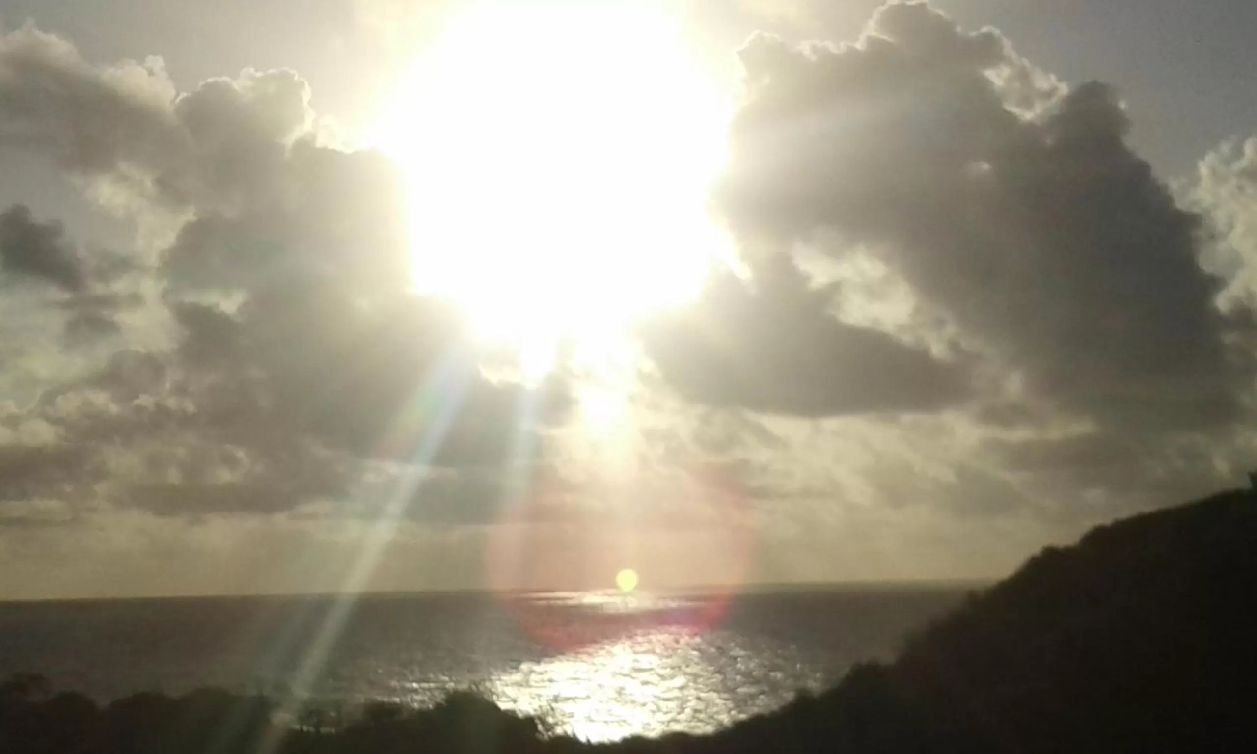 Natural landscape in The Milligan