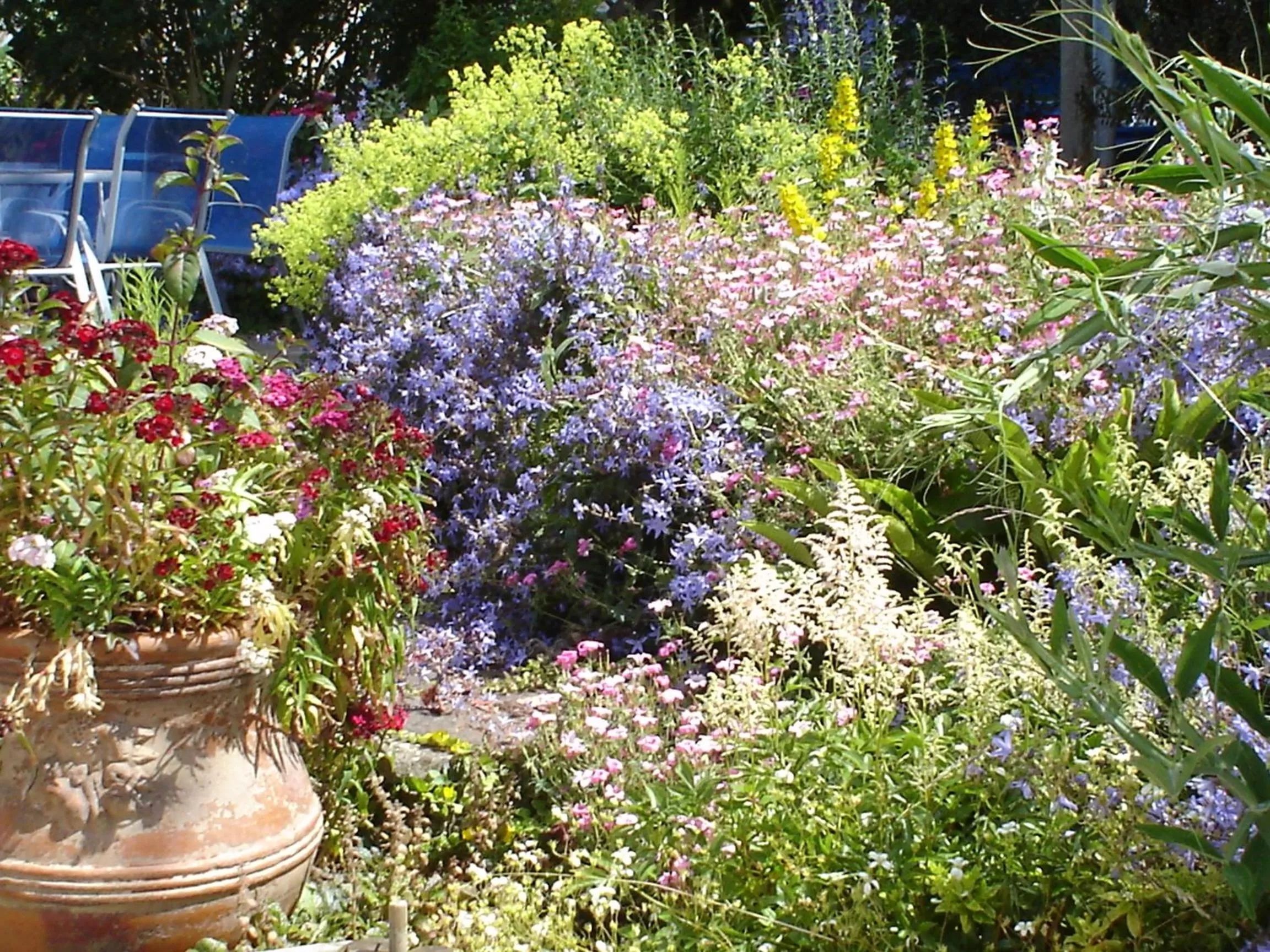 Rosedene Guest House