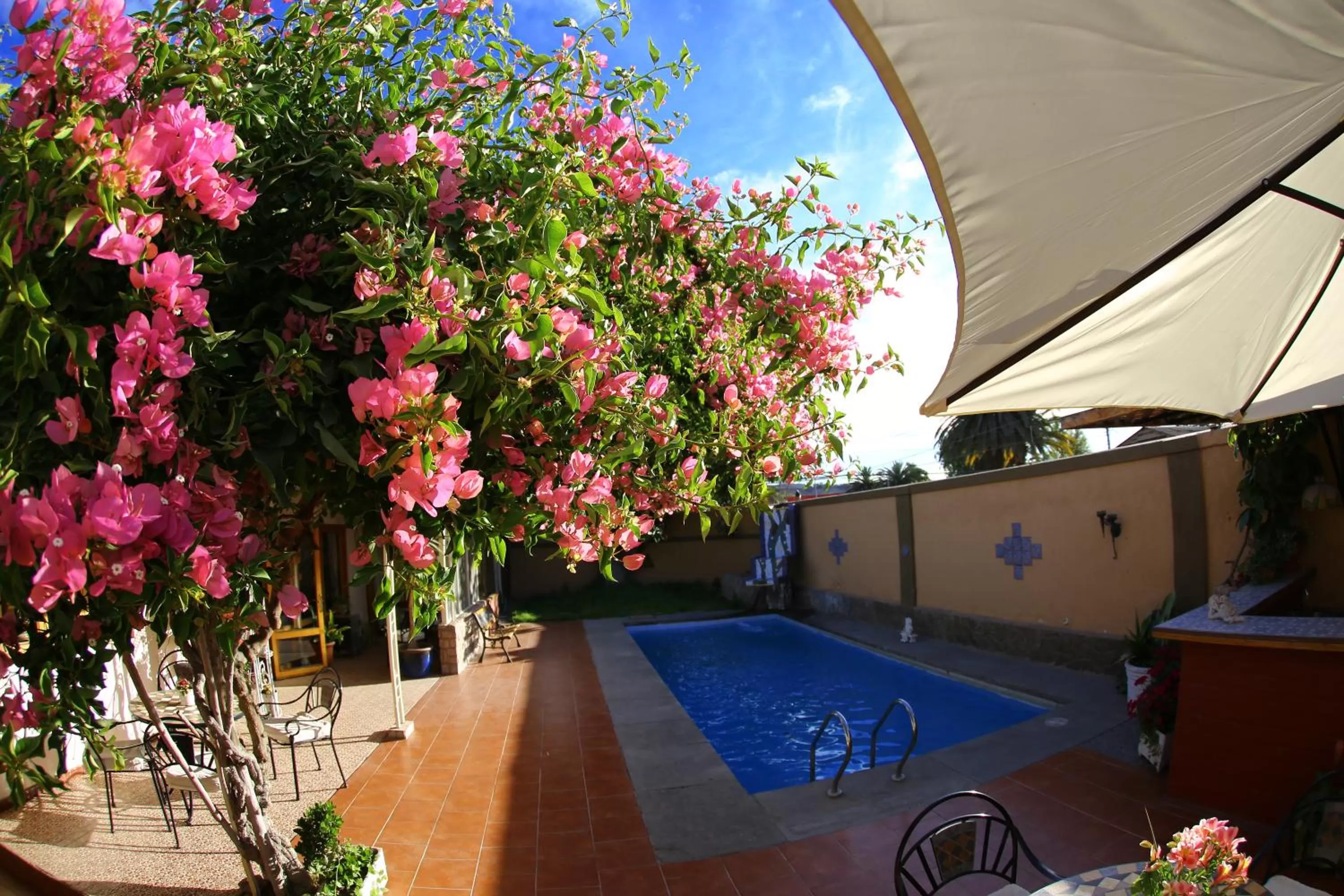Swimming Pool in Hotel Puerto de Vega