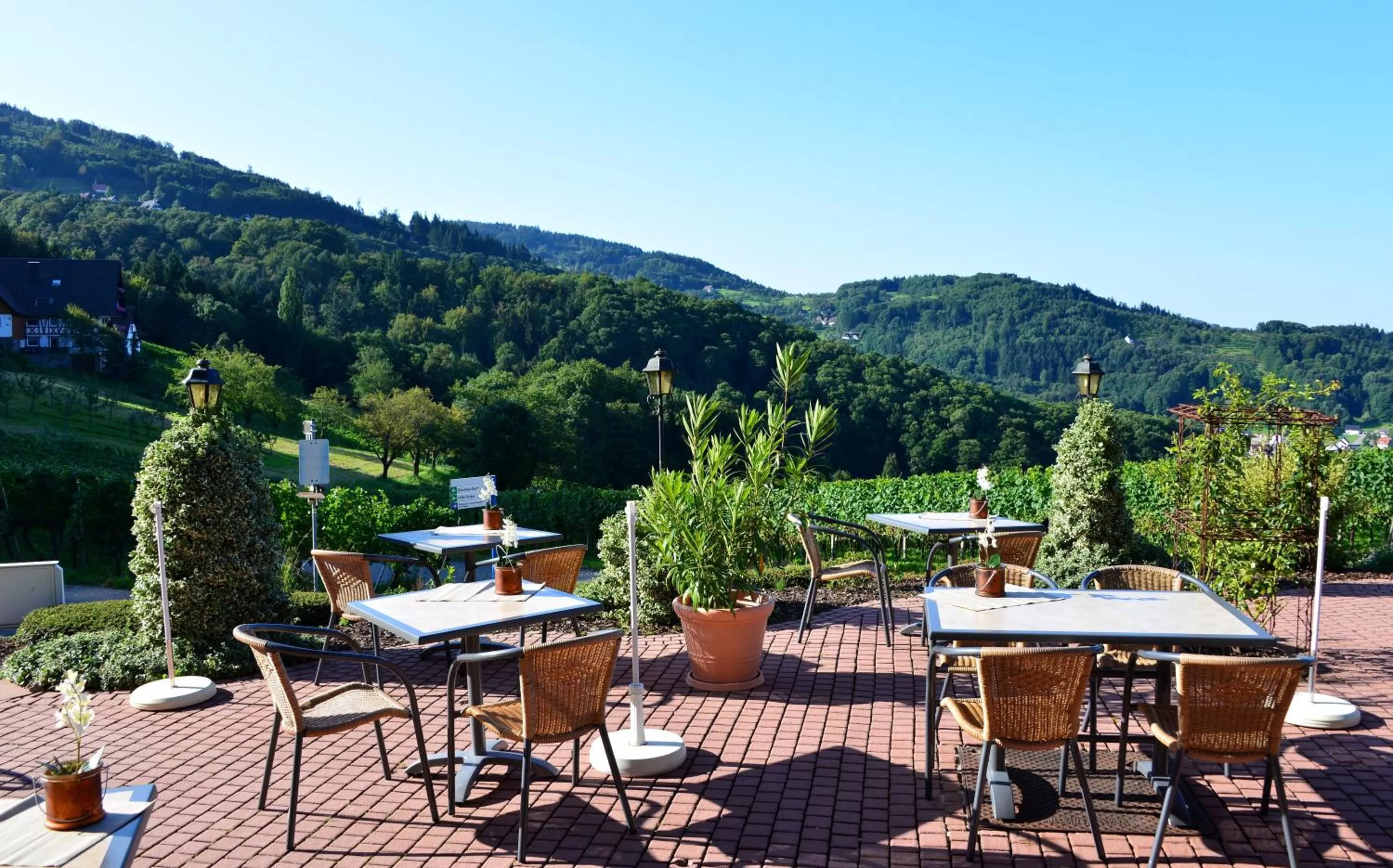 Balcony/Terrace, Restaurant/Places to Eat in RelaxHotel Tannenhof