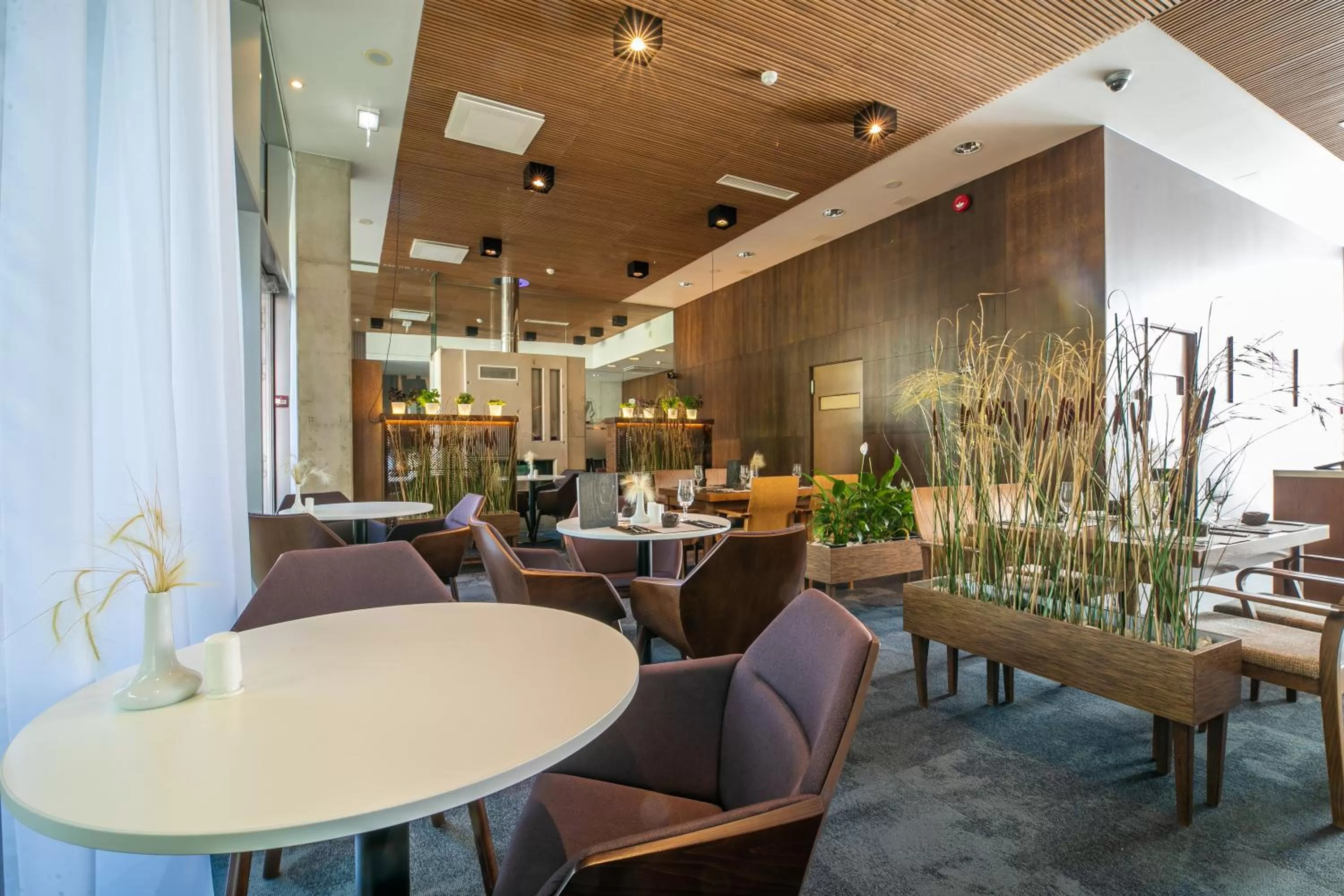 Restaurant/places to eat in Johan Design & SPA Hotel