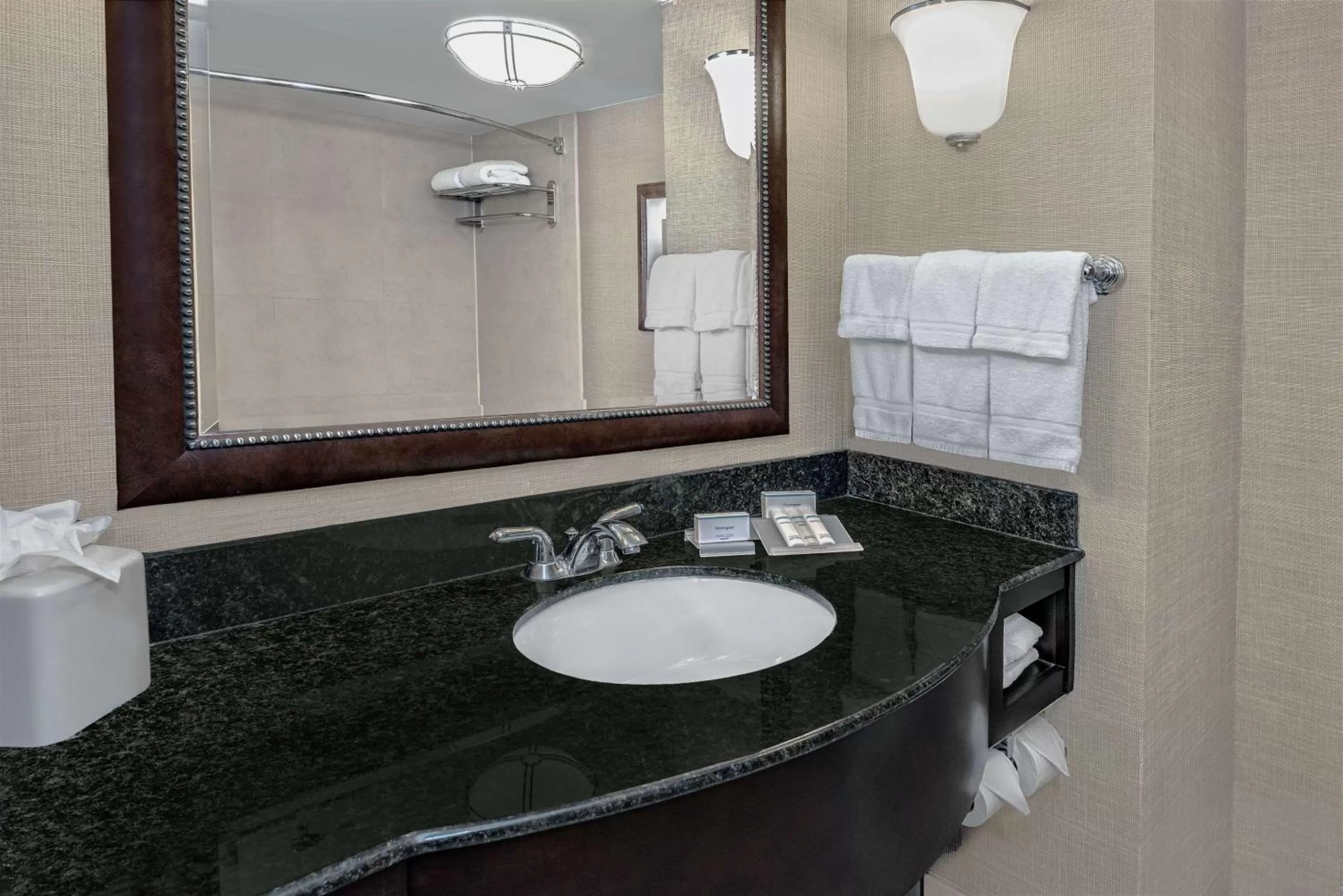 Bathroom in Hilton Garden Inn San Antonio Airport