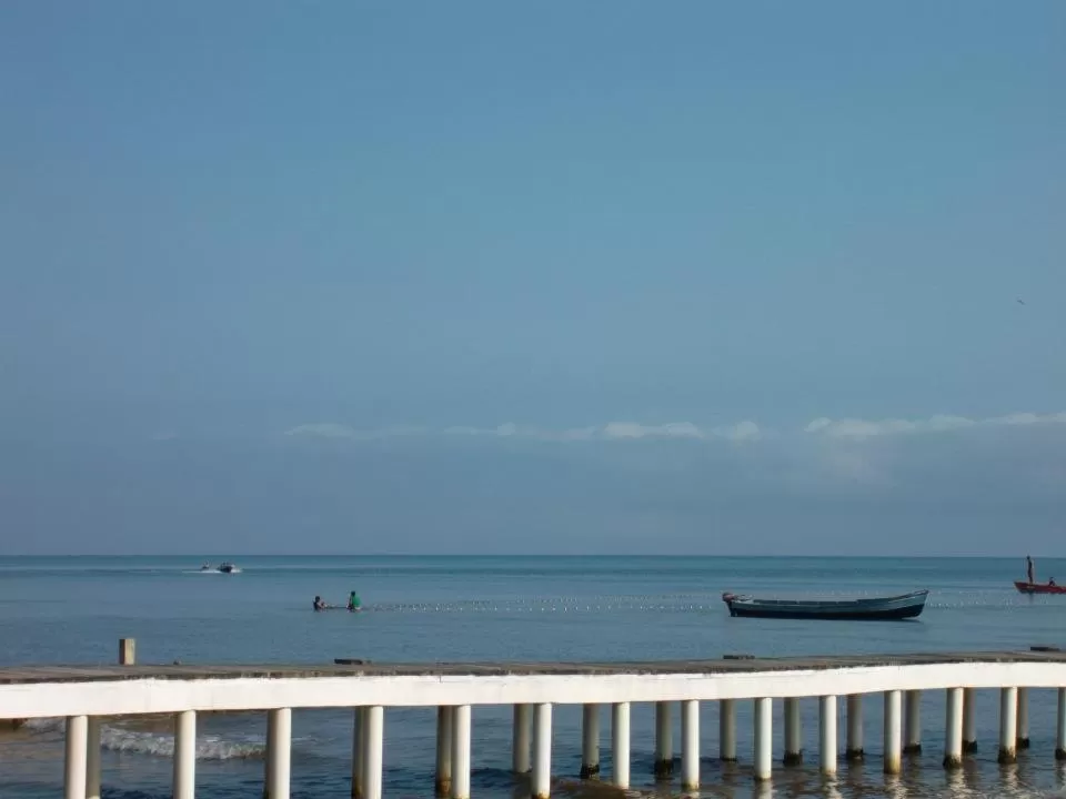 Sea View in Hotel Salvador Gaviota
