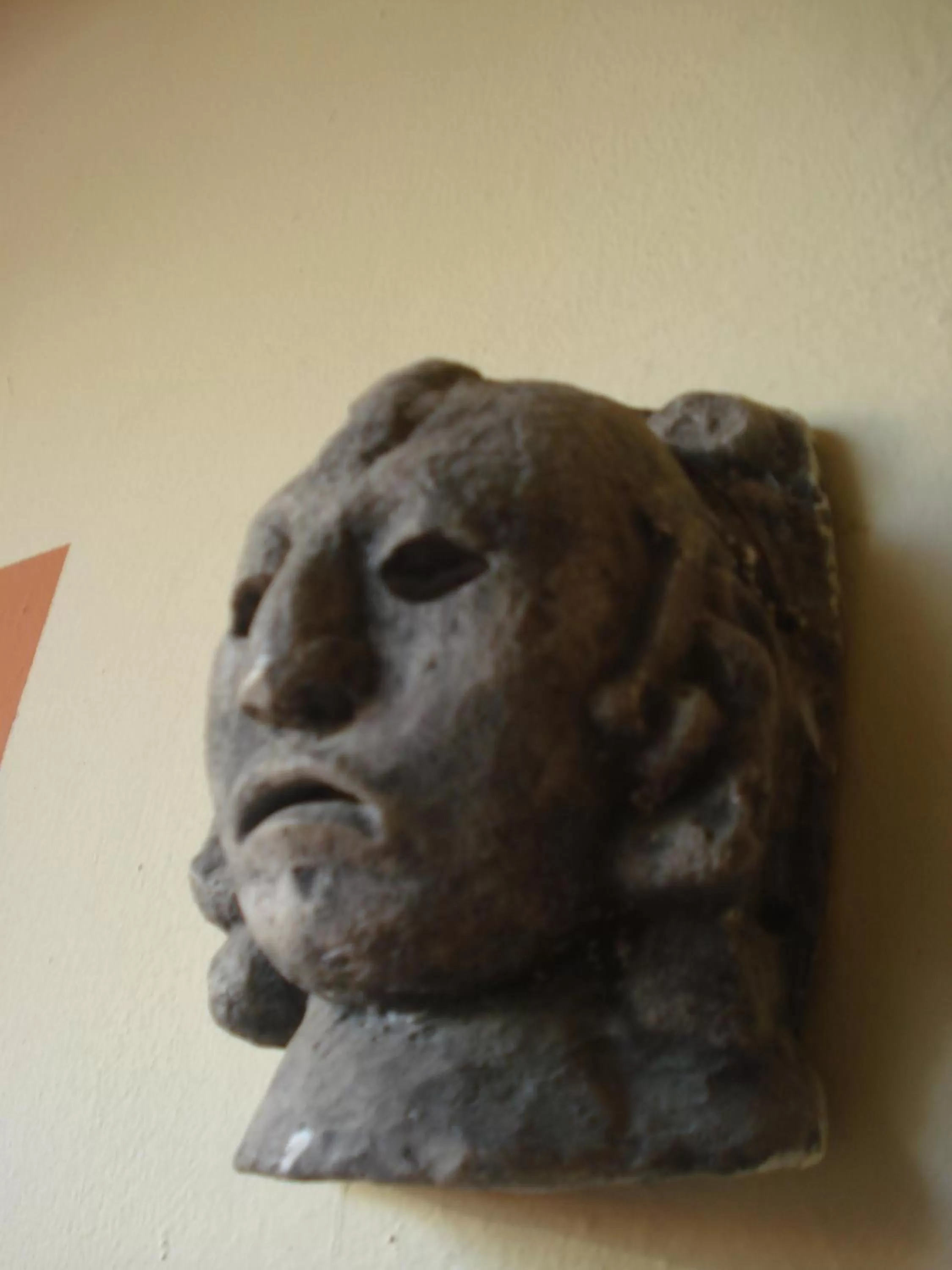 Area and facilities, Other Animals in Hotel Brisas de Copan