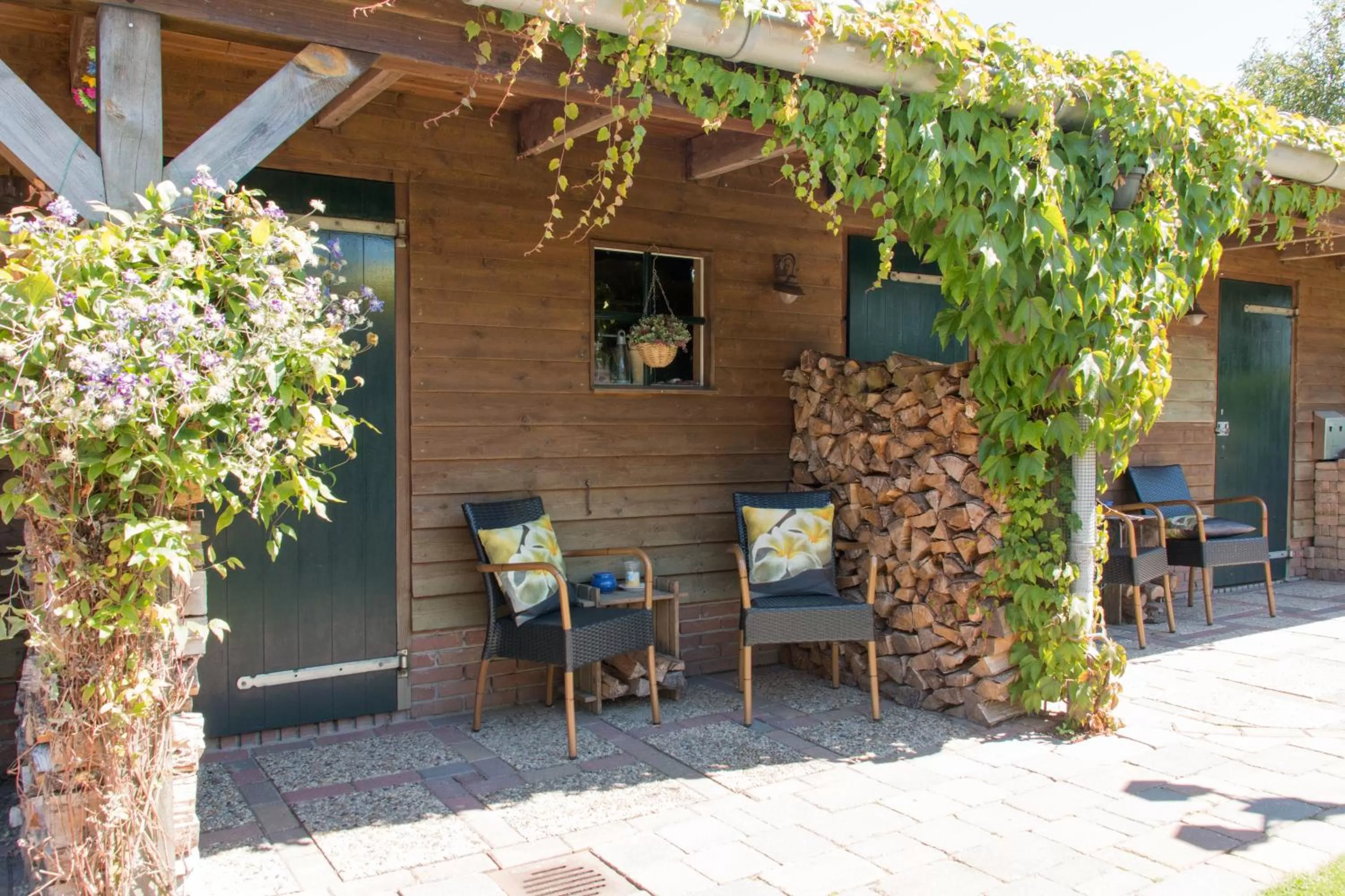 Garden, Patio/Outdoor Area in B&B de Ster van Dwingeloo