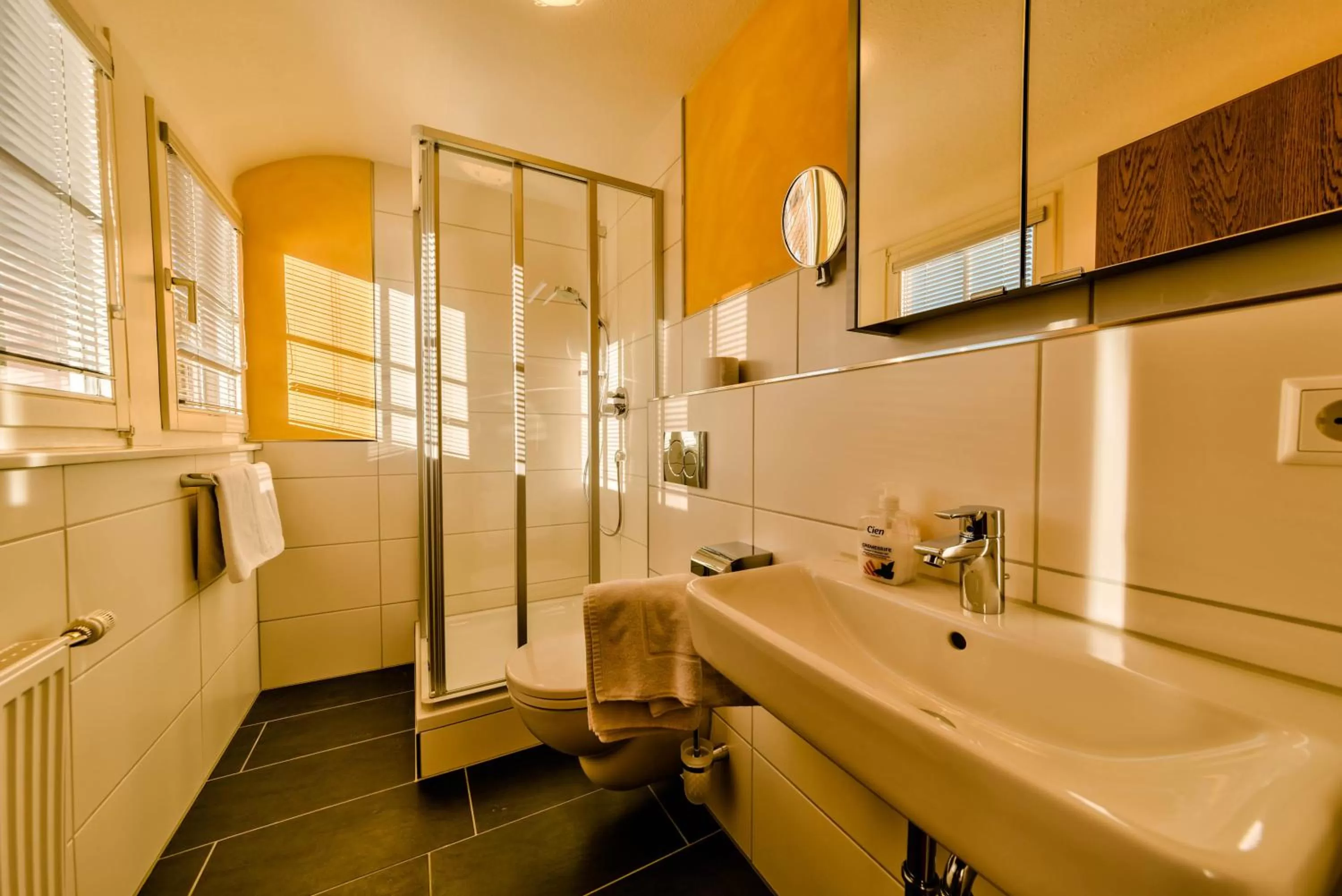 Photo of the whole room, Bathroom in Hotel Sonneneck Titisee -Adults Only-