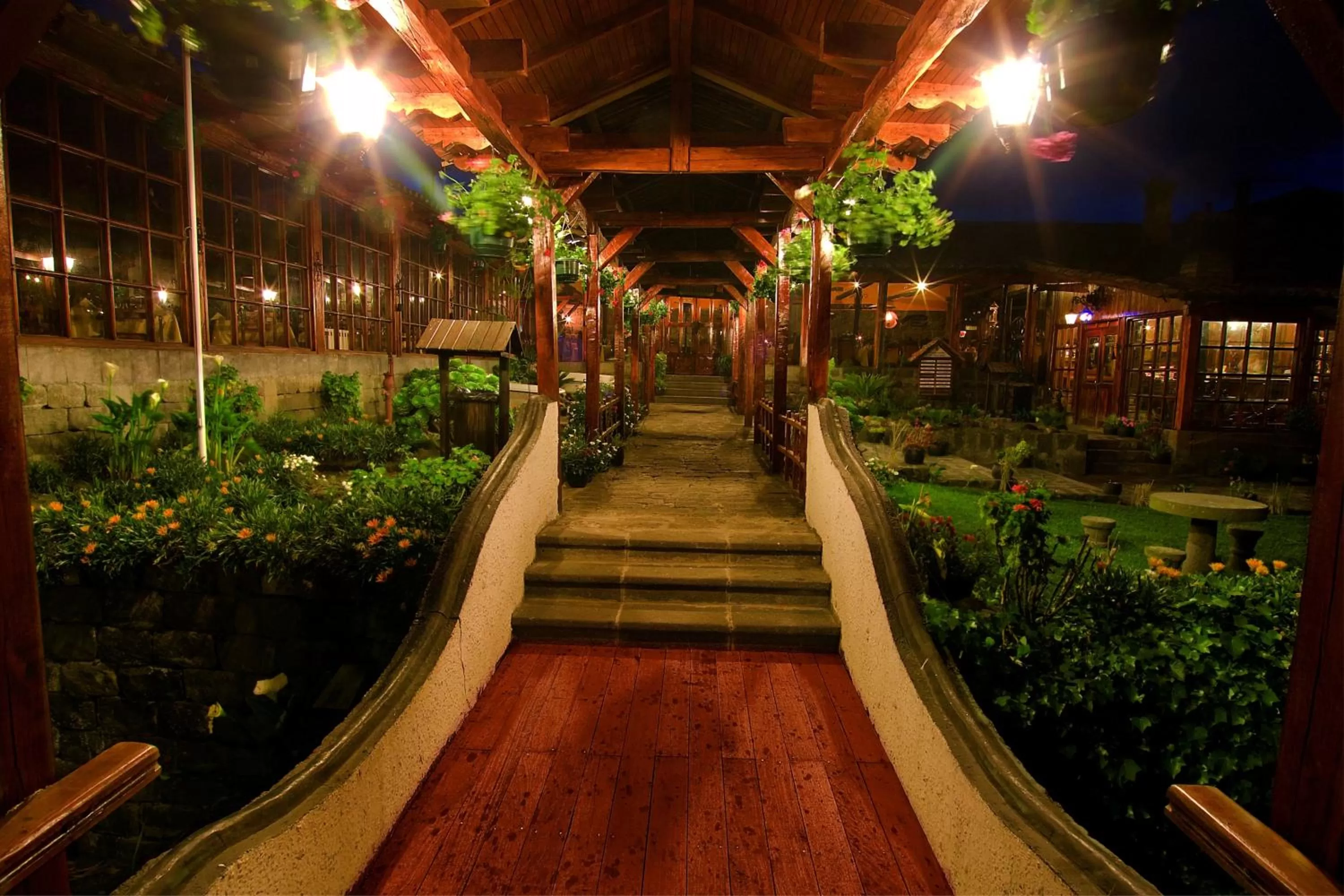 Night, Garden in Hostería La Andaluza